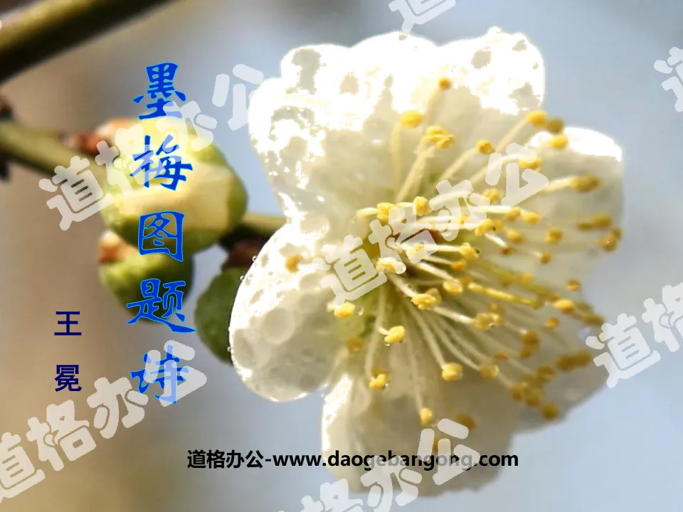 "Poetry on Plum Blossom Pictures" PPT courseware