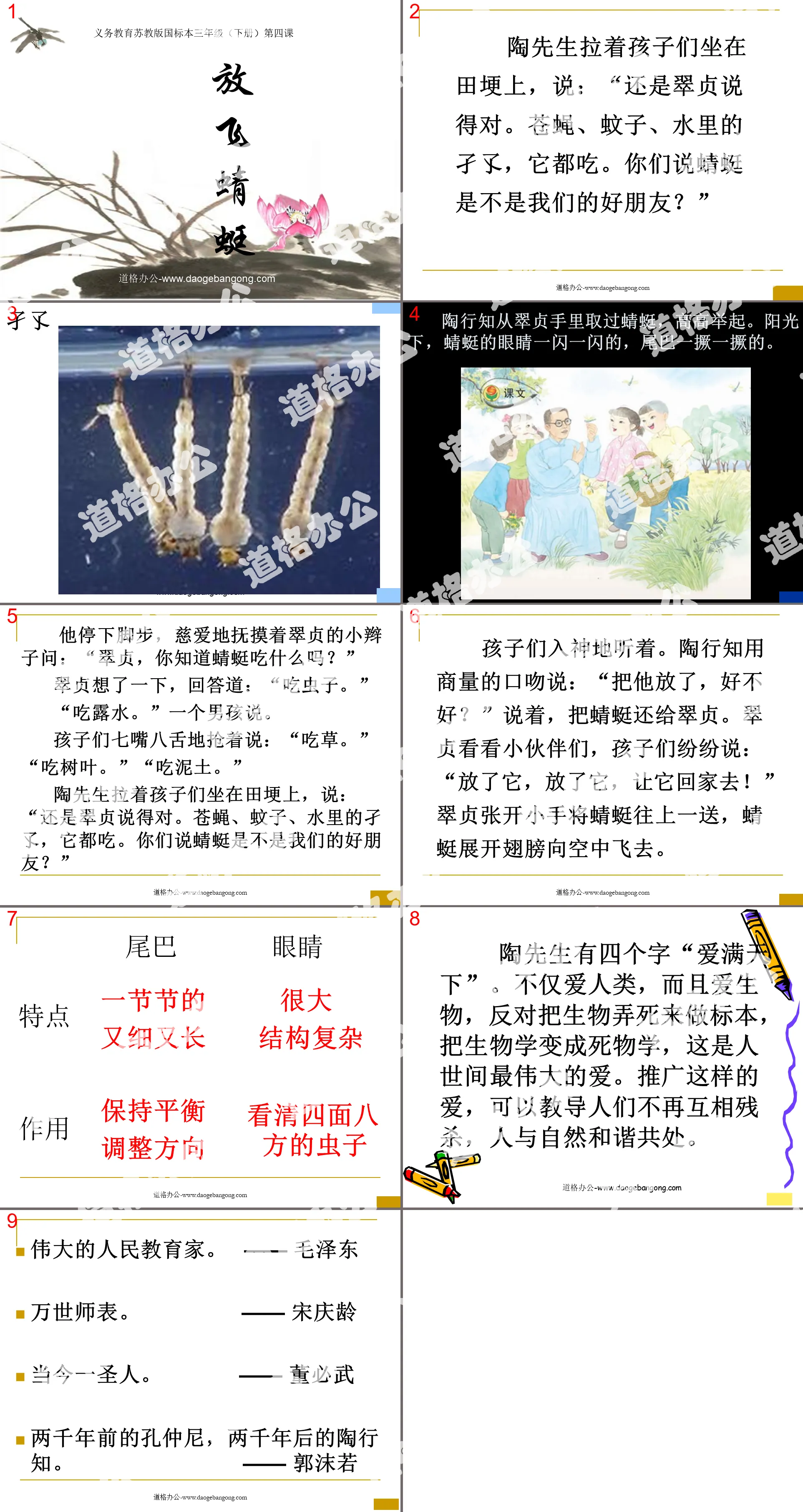 《放飞蜻蜓》PPT课件