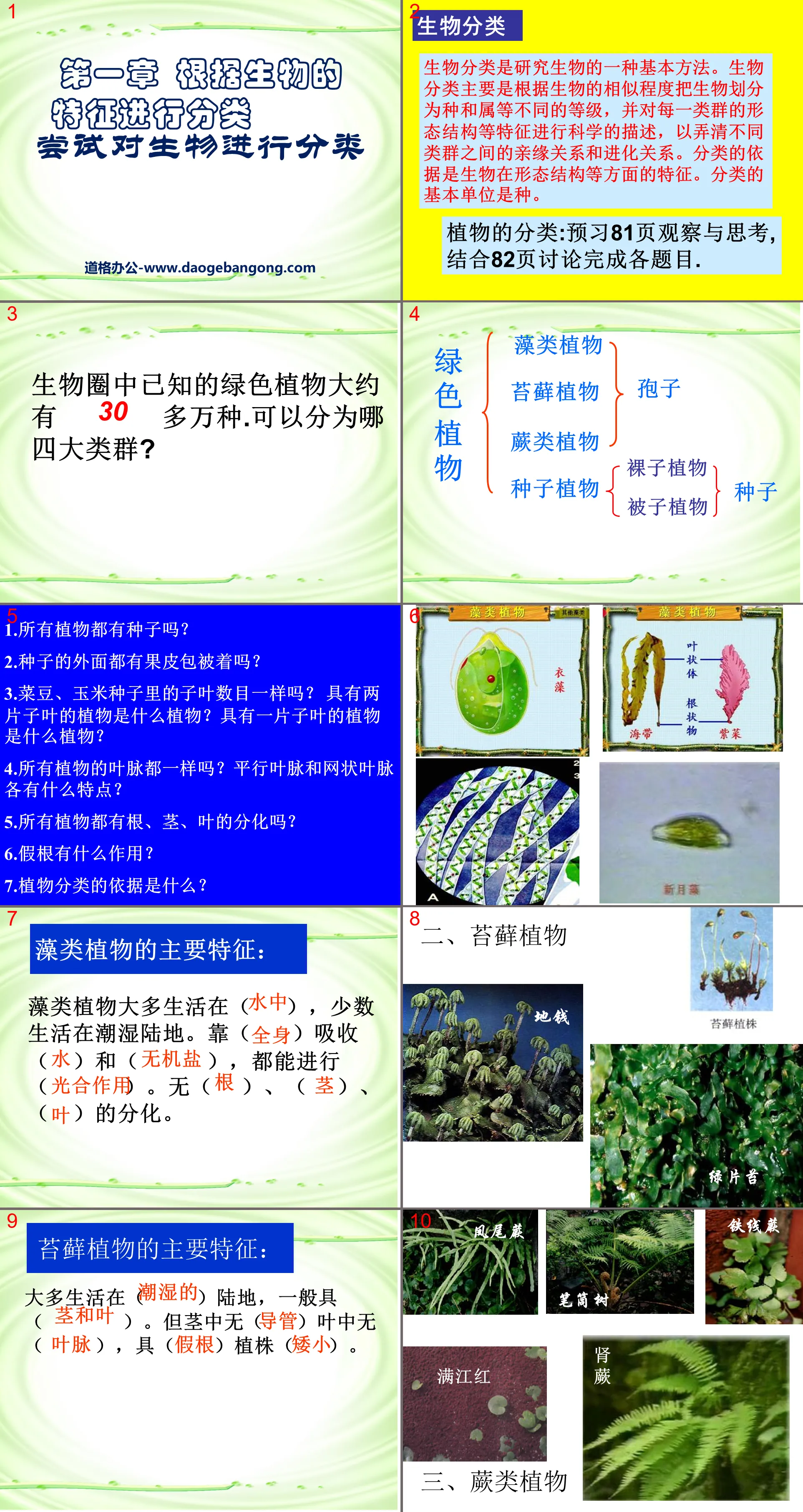 《尝试对生物进行分类》根据生物的特征进行分类PPT课件6
