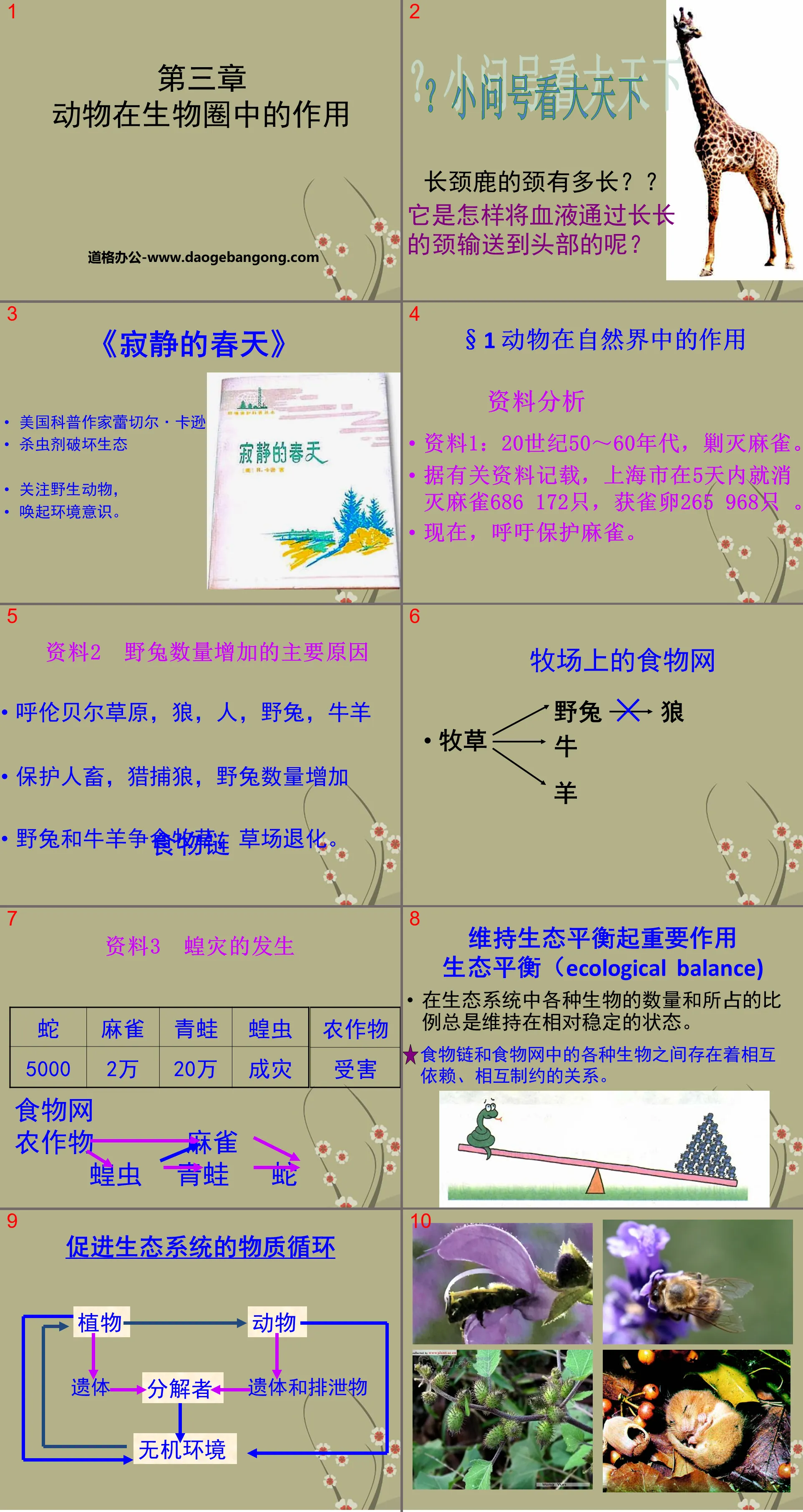 《動物在生物圈中的作用》PPT課件4