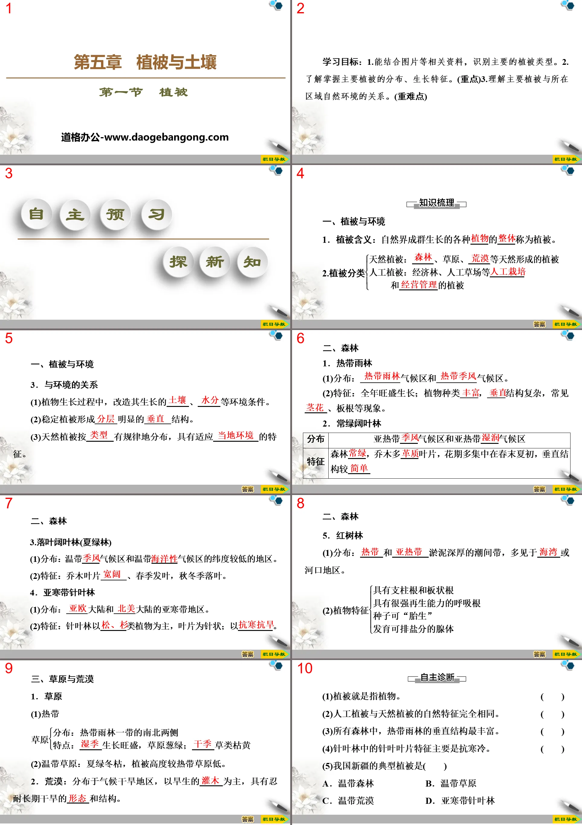 《植被》植被与土壤PPT