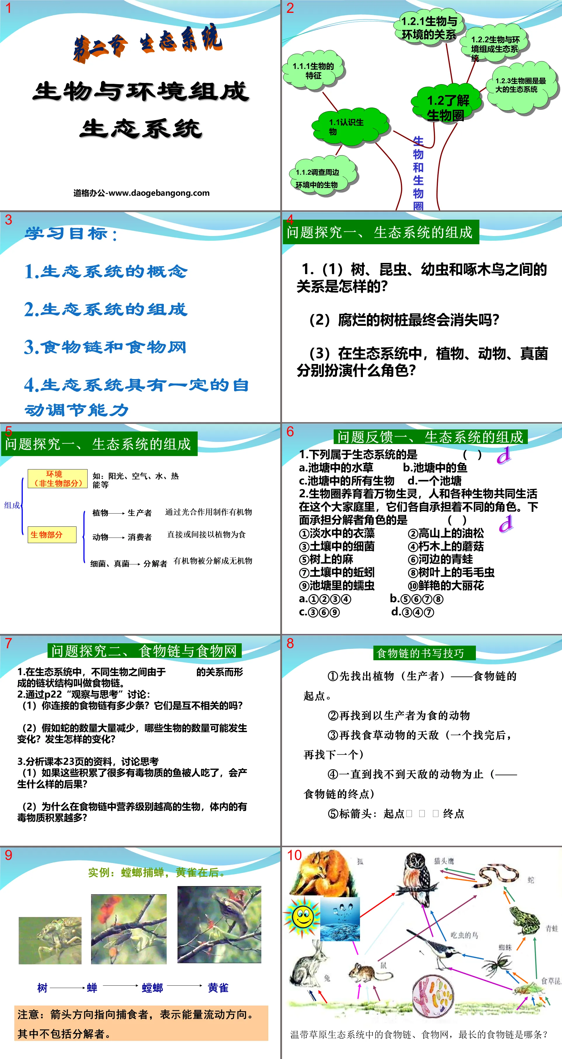 《生物與環境組成生態系》了解生物圈PPT課程2