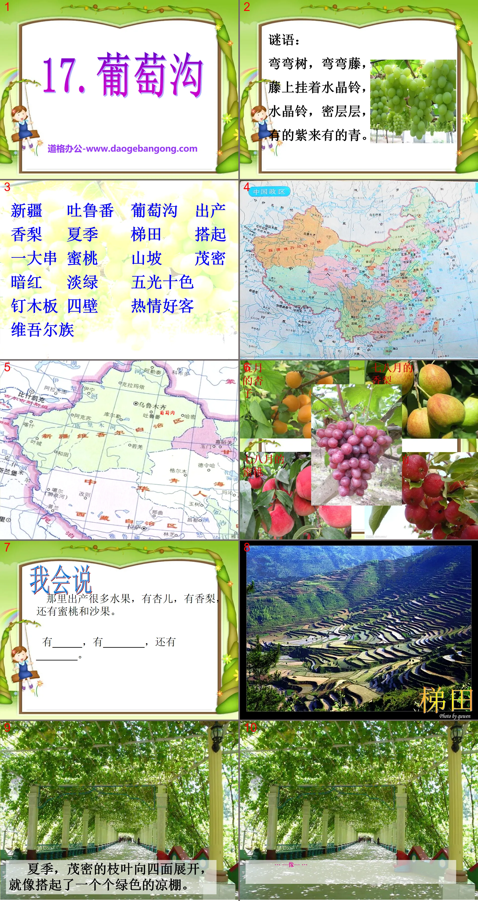 "Grape Valley" PPT courseware 11