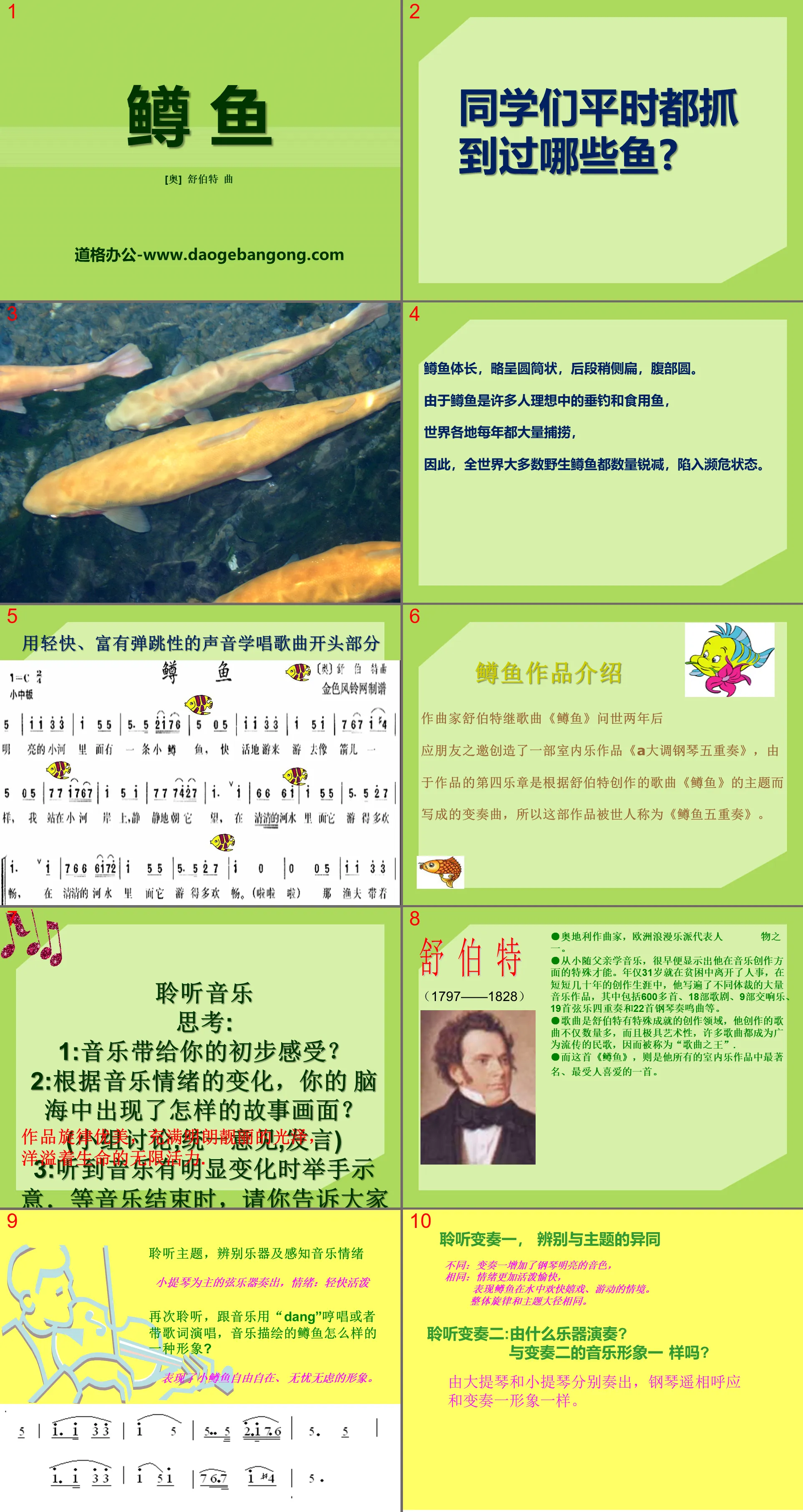 《鱒魚》PPT課程4