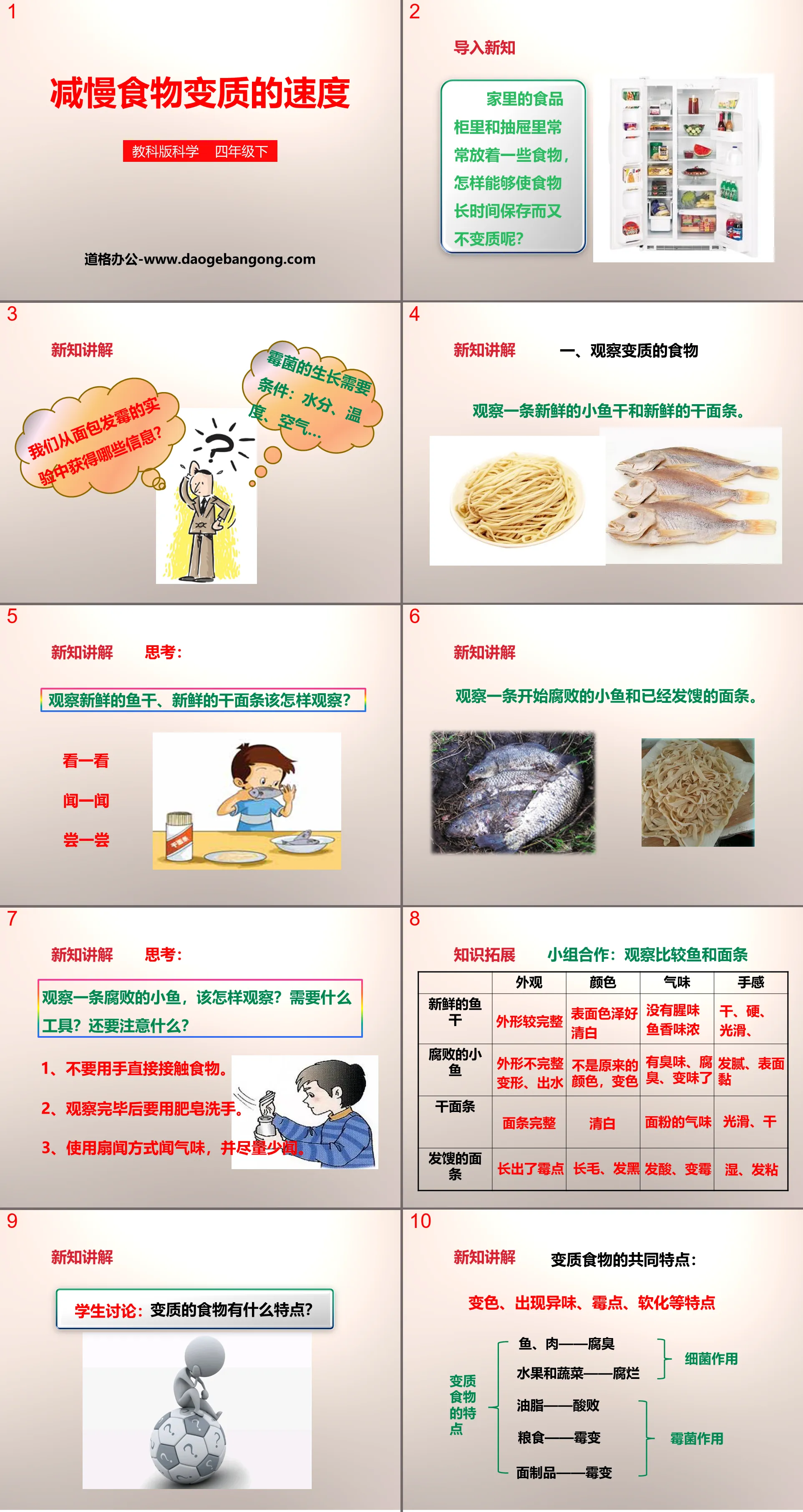 《减慢食物变质的速度》食物PPT下载
