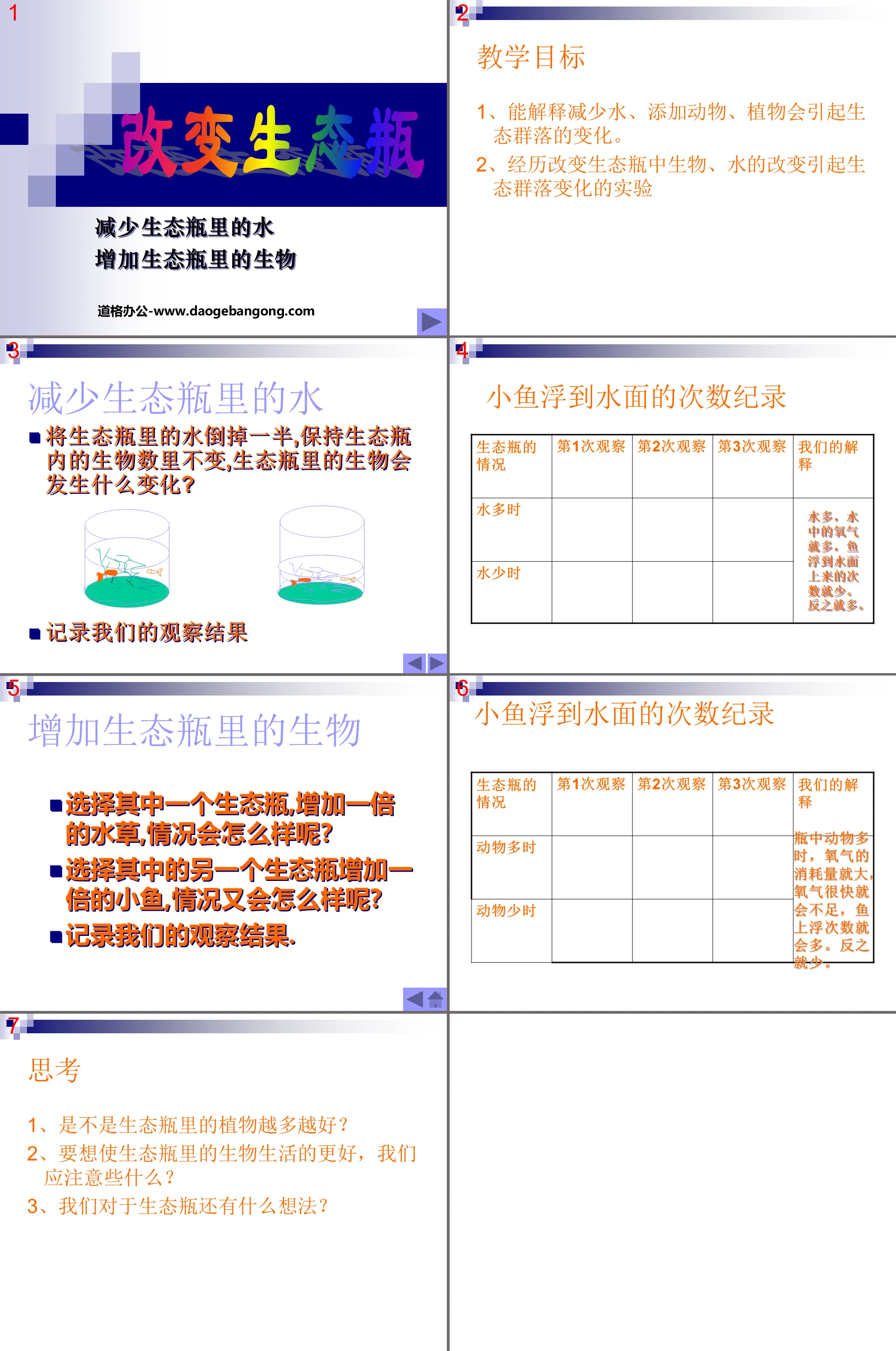 《改變生態瓶》生物與環境PPT課程2