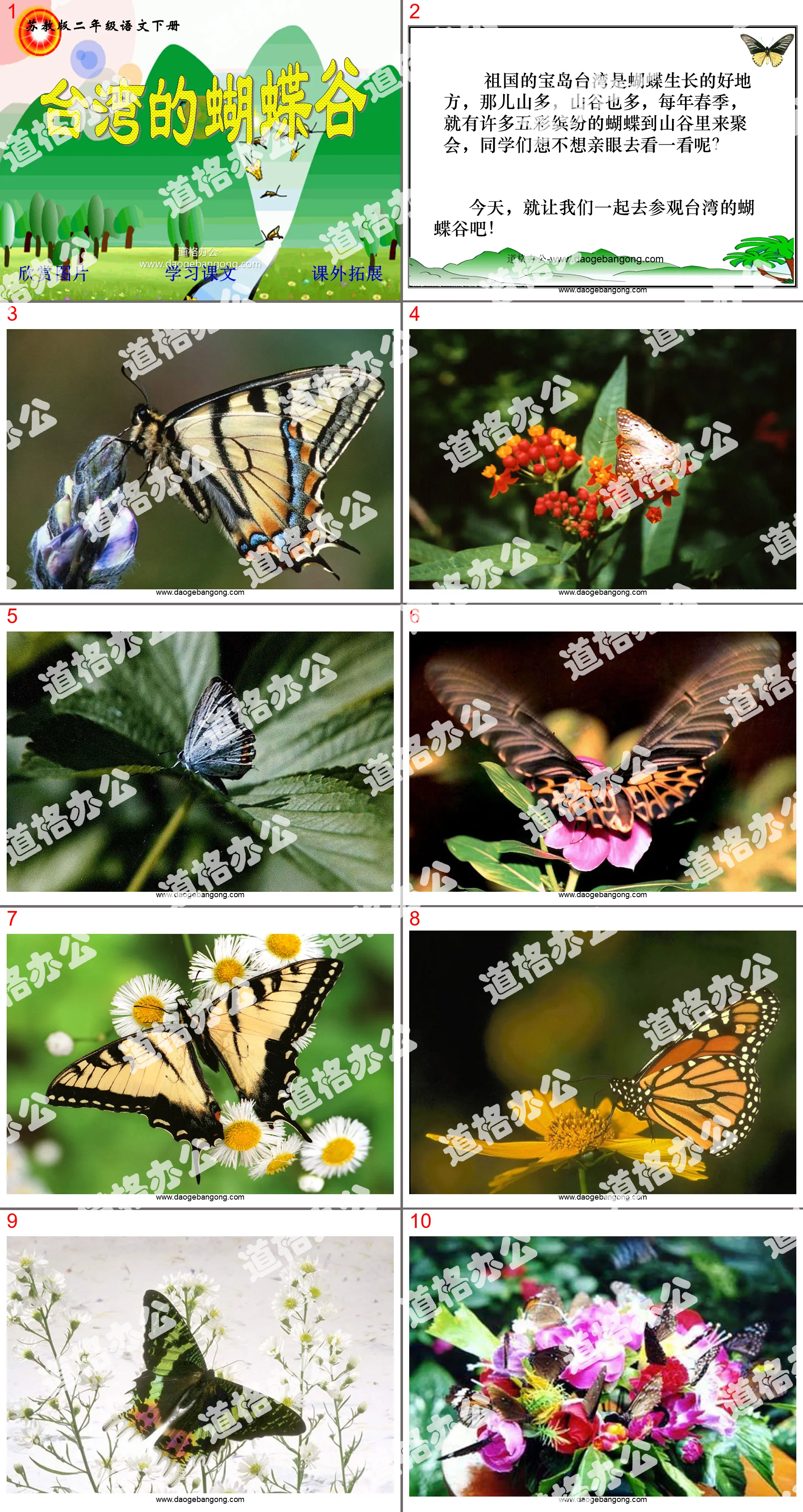 "Taiwan's Butterfly Valley" PPT courseware 2