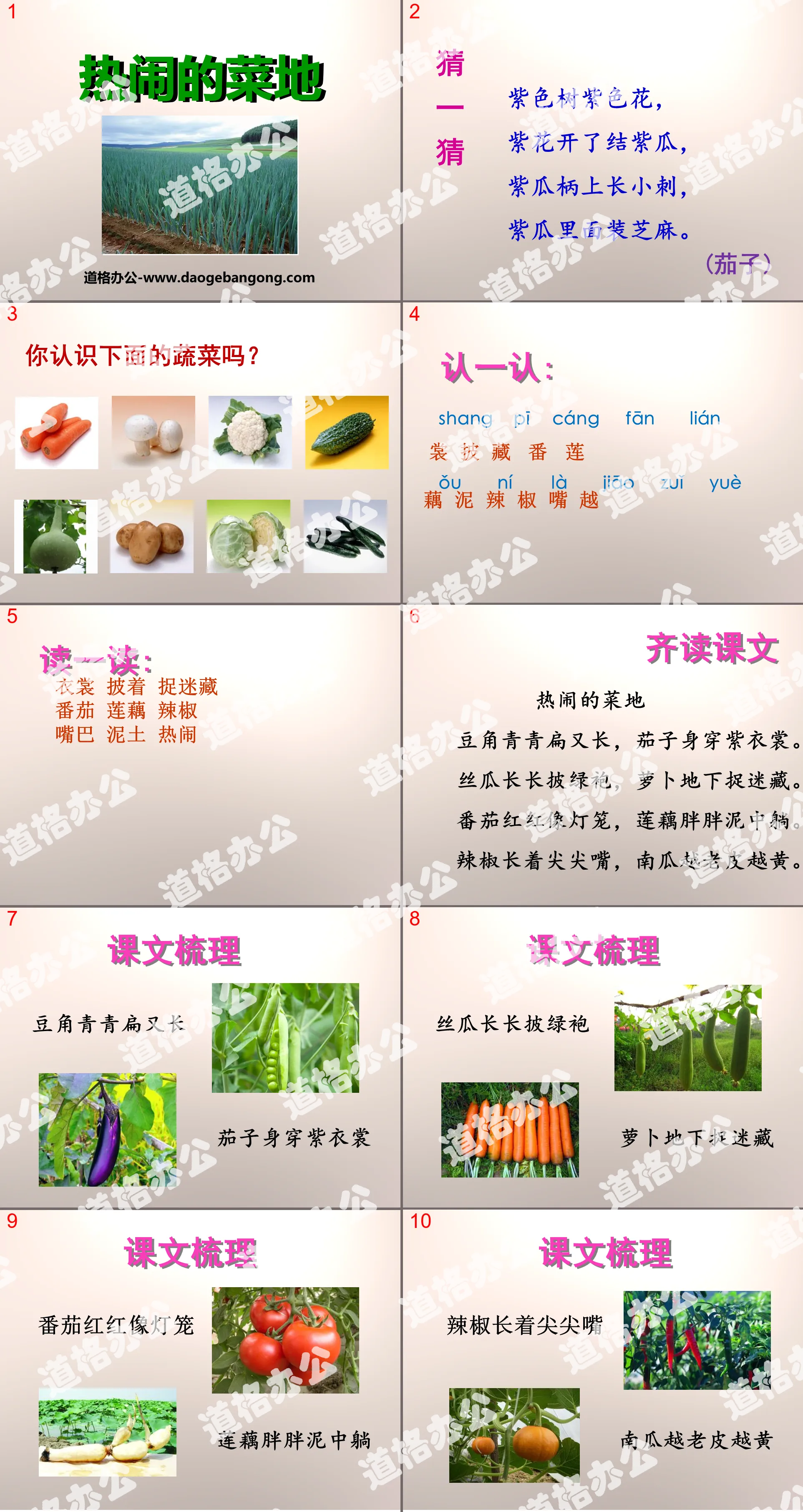 "Lively Vegetable Patch" PPT