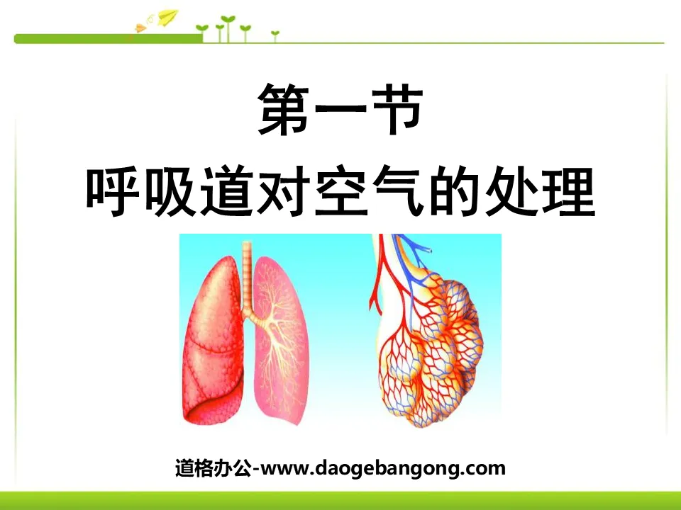 "The processing of air by the respiratory tract" Human Respiration PPT Courseware 5