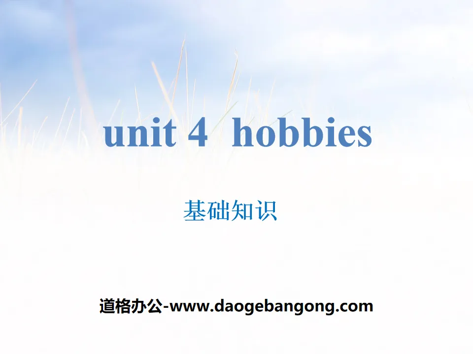 《Hobbies》基础知识PPT
