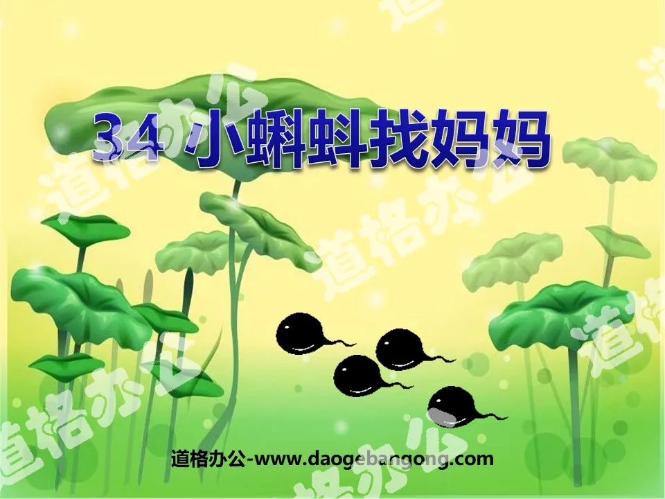 "Tadpole Looking for Mom" ​​PPT Courseware 4