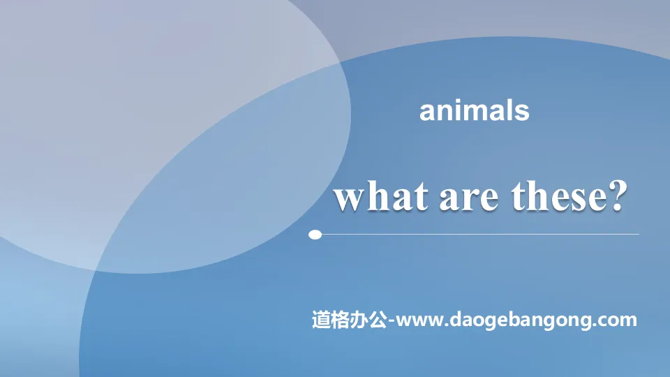 《What are these?》Animals PPT