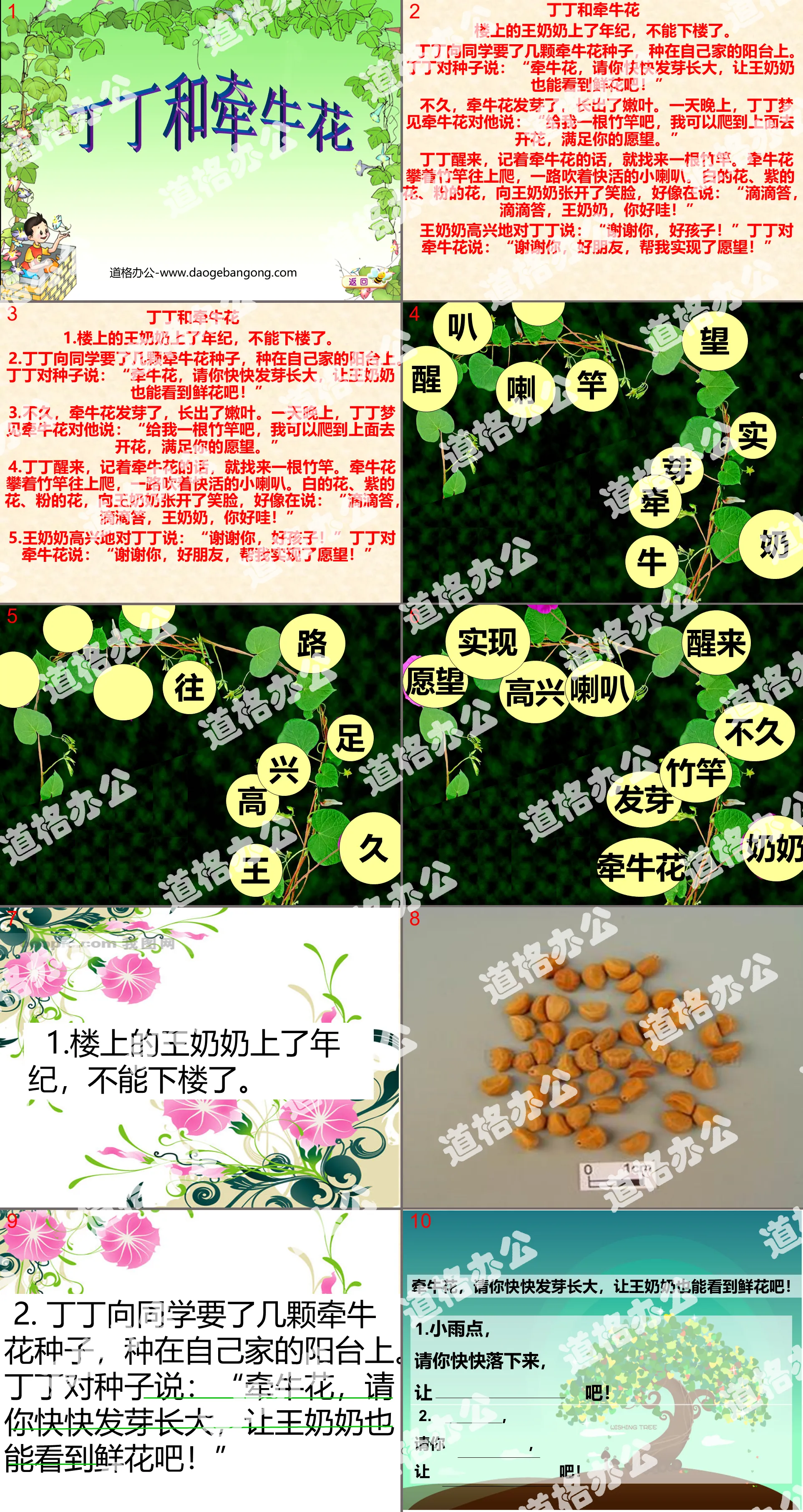 《丁丁和牵牛花》PPT课件
