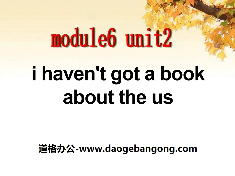 《I haven't got a book about the US》PPT课件2
