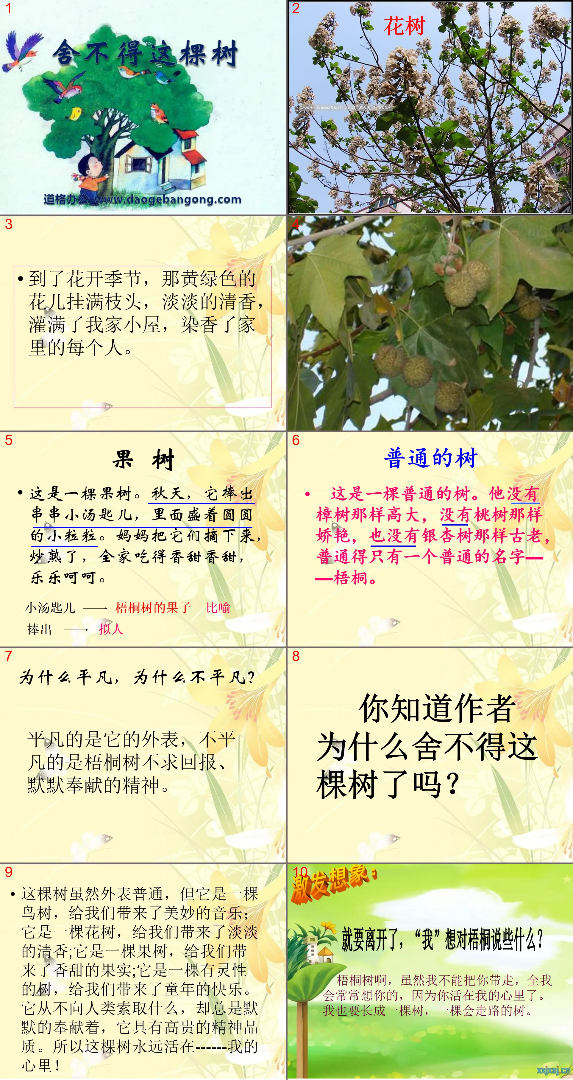 《舍不得这棵树》PPT课件3
