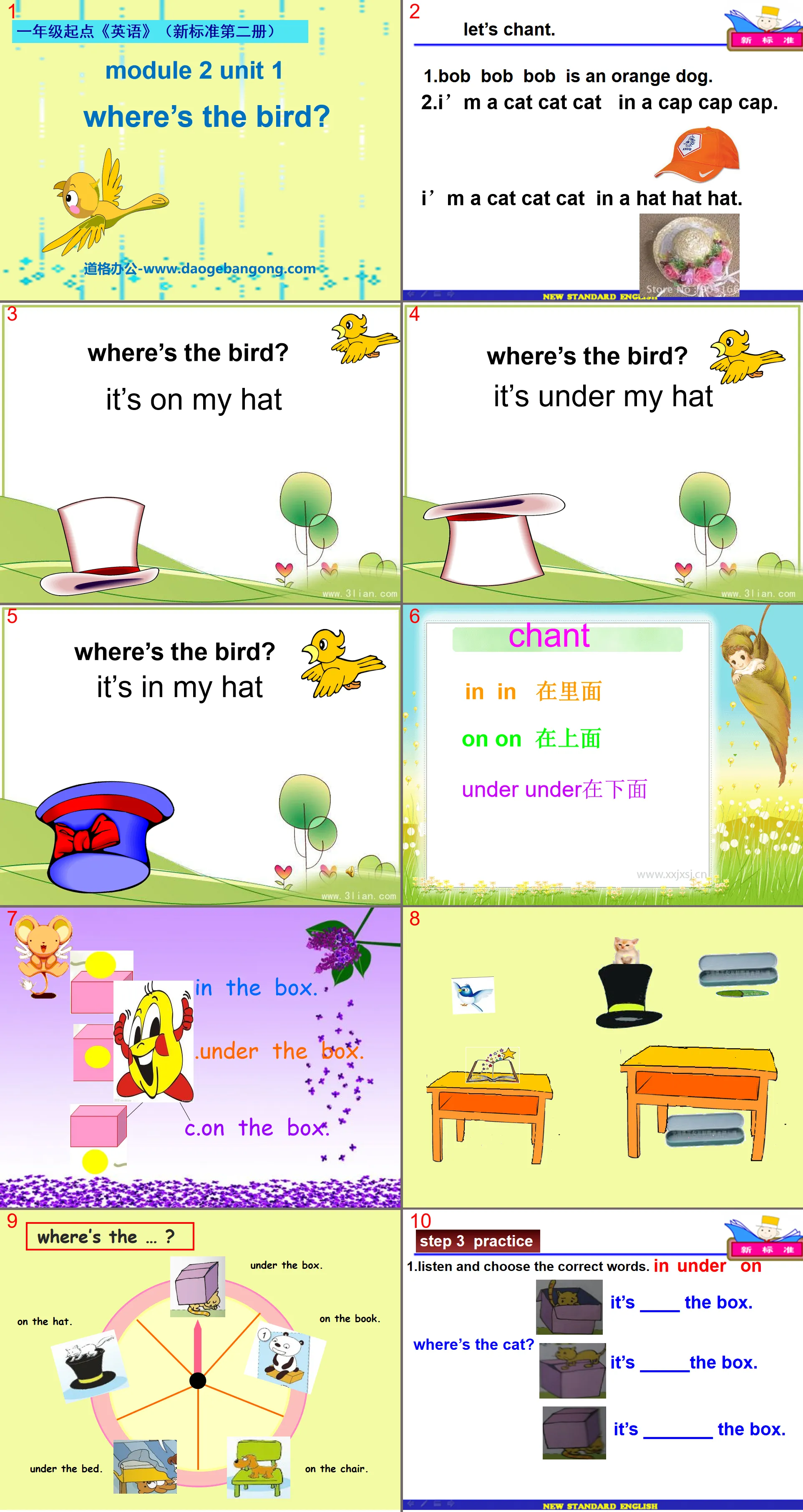 "Where’s the bird?" PPT courseware 2