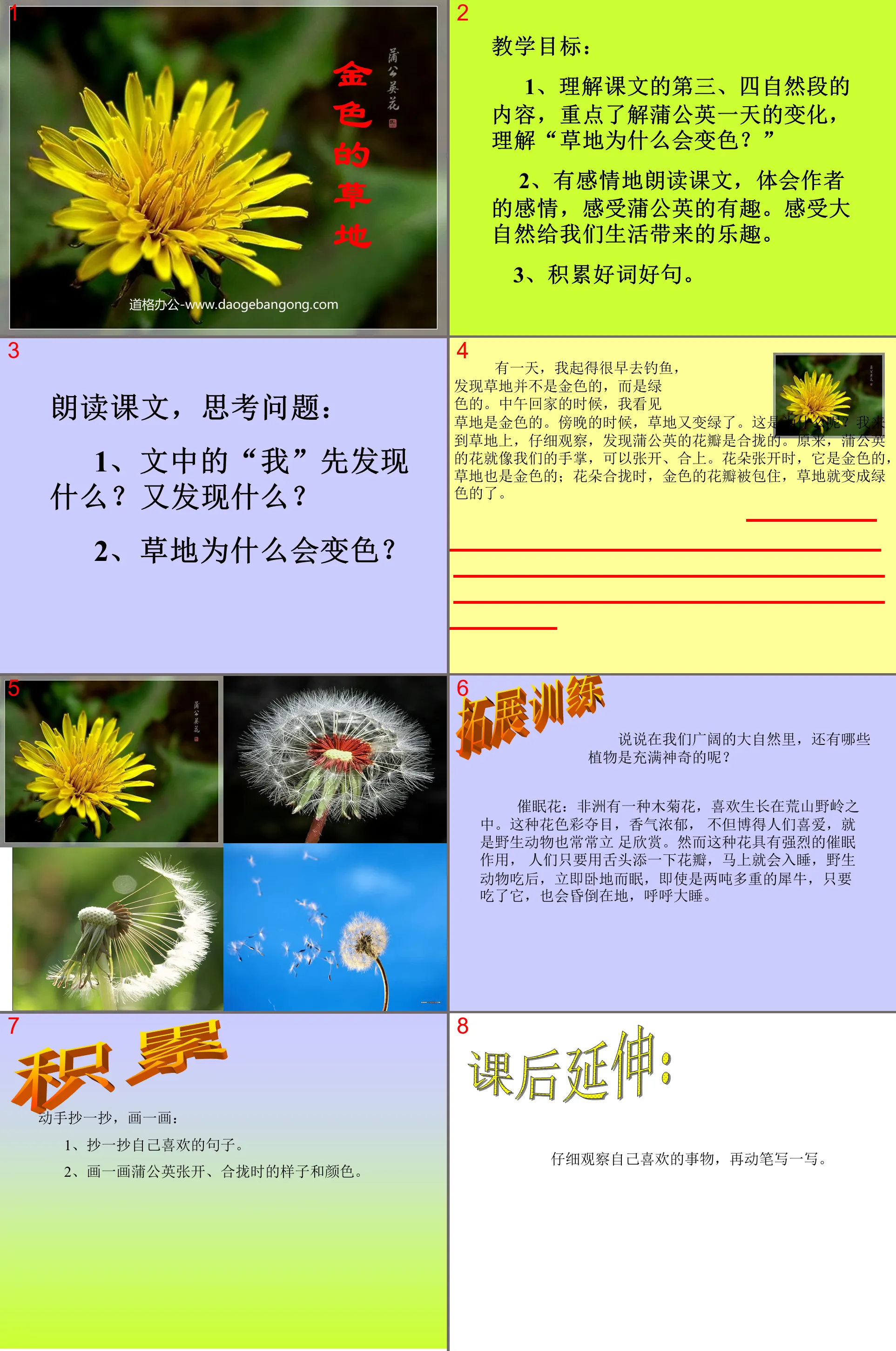 《金色的草地》PPT教学课件下载2