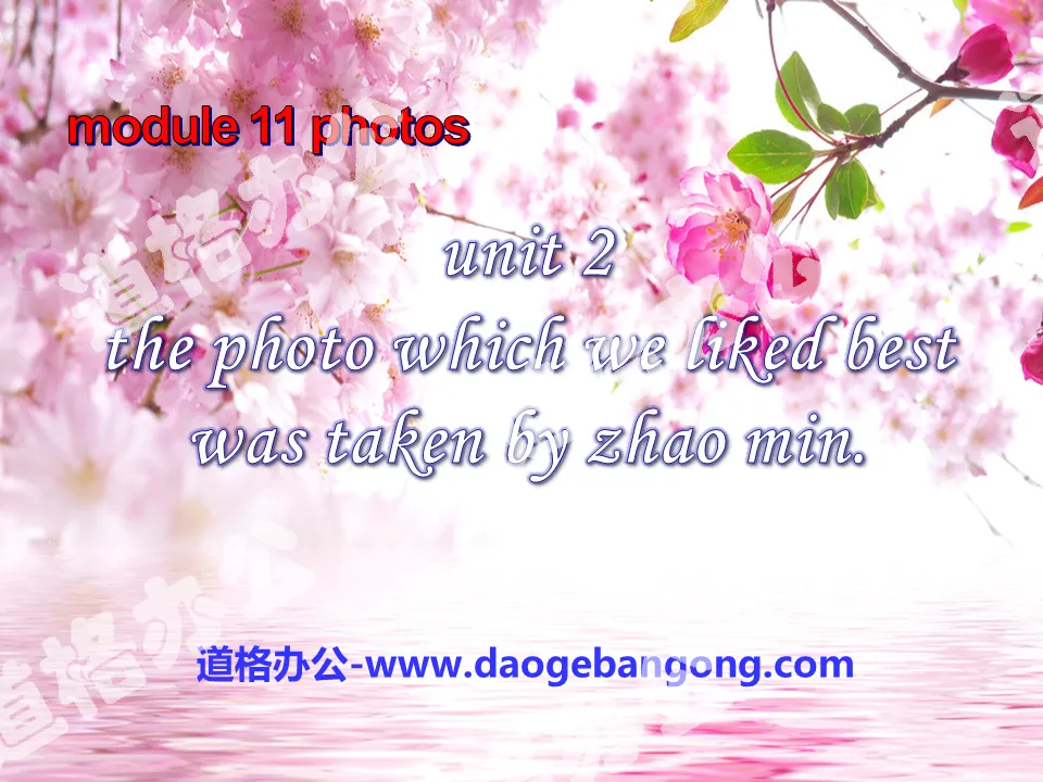 "The photo which we liked best was taken by Zhao Min" Photos PPT courseware 3