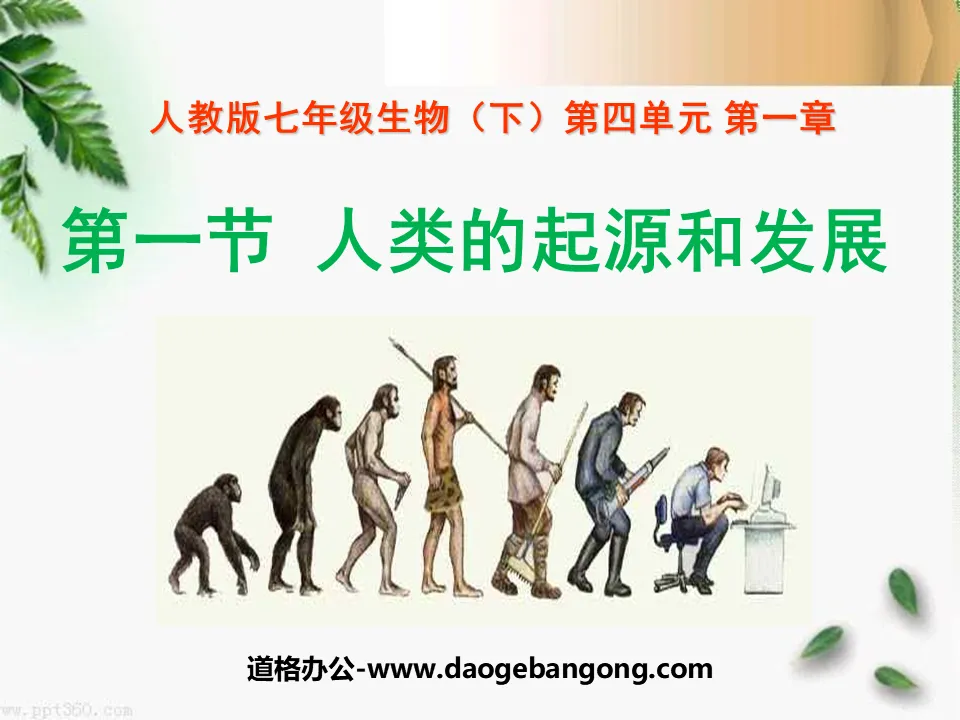 "The Origin and Development of Humanity" The Origin of Man PPT Courseware 4