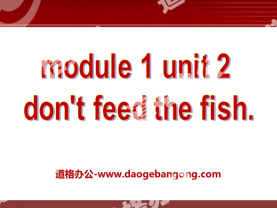 《Don't feed the fish》PPT课件
