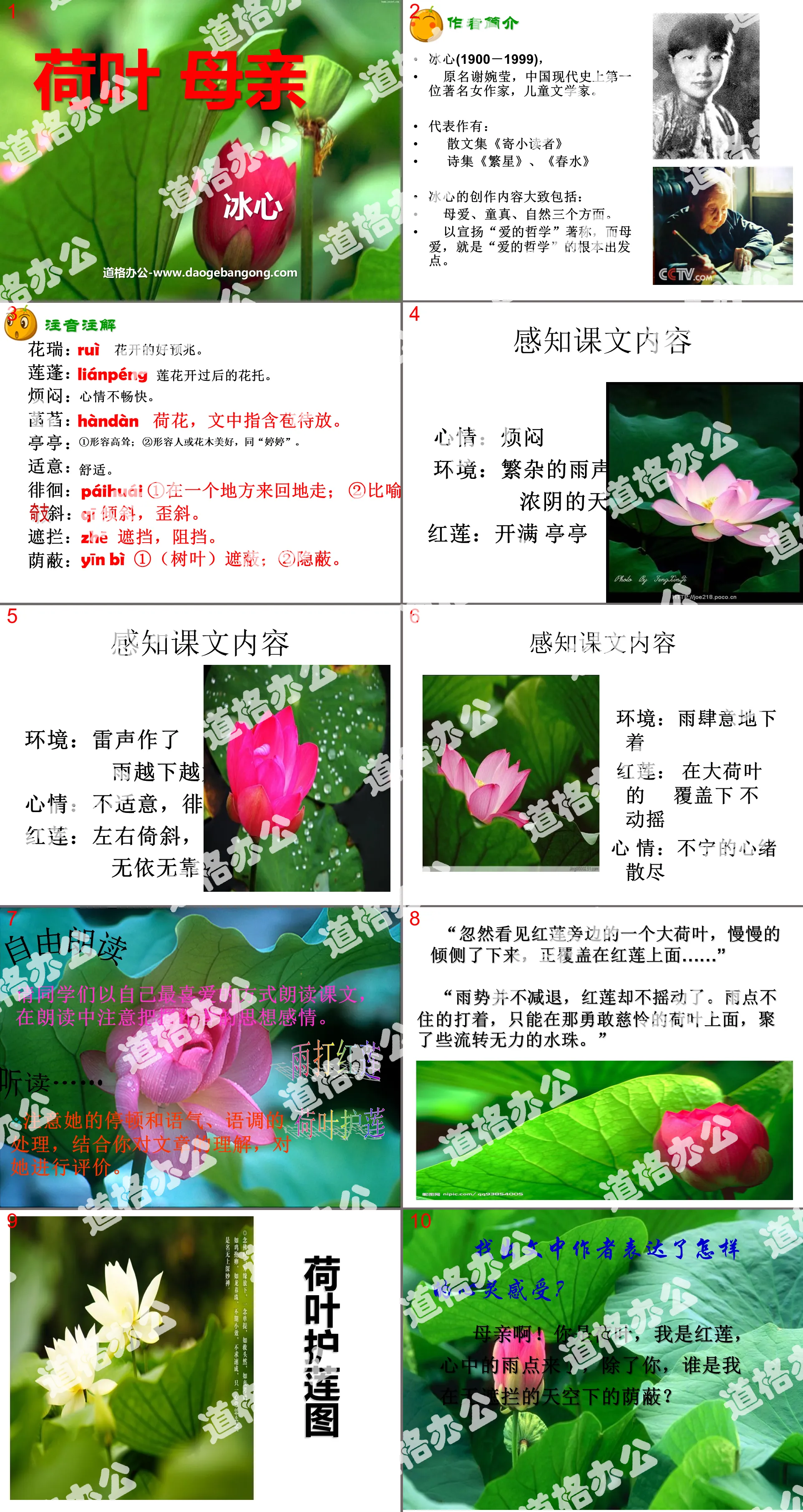 "Lotus Leaf Mother" PPT courseware 2