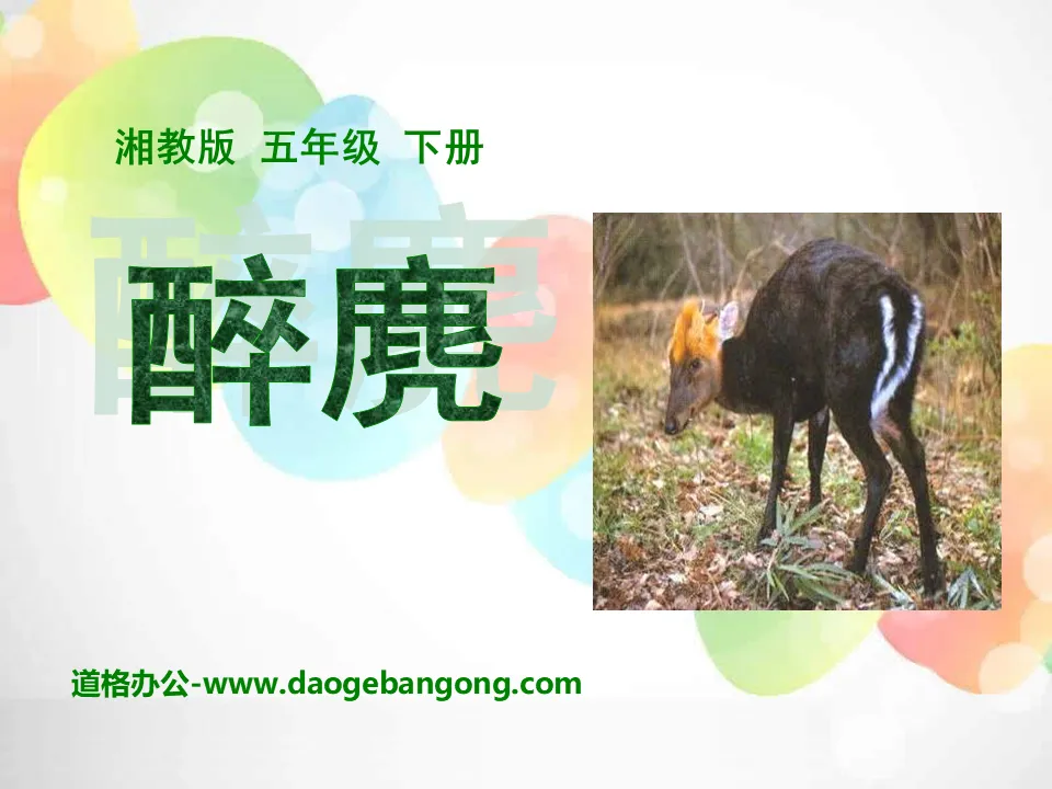 "Drunken Deer" PPT courseware 3