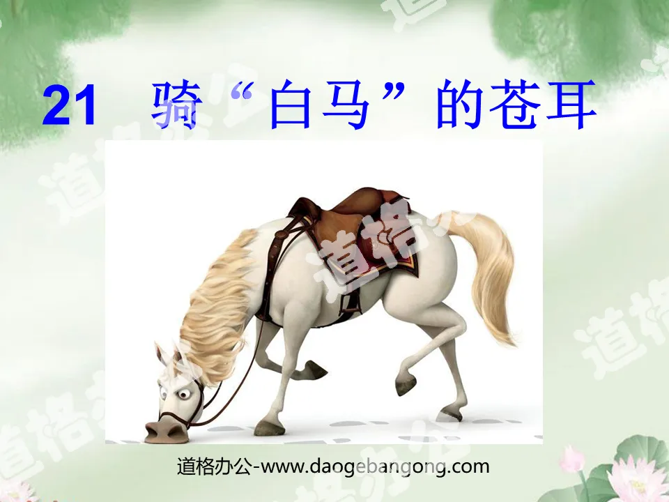 "Xanthium riding a "white horse"" PPT courseware 2