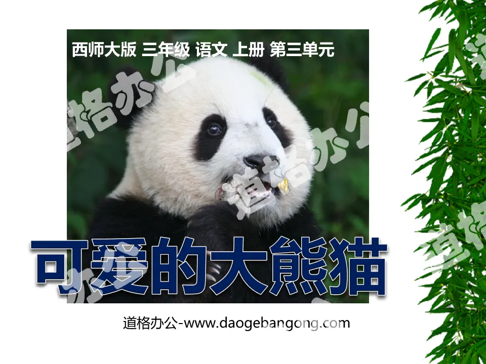 "Cute Giant Panda" PPT courseware 2