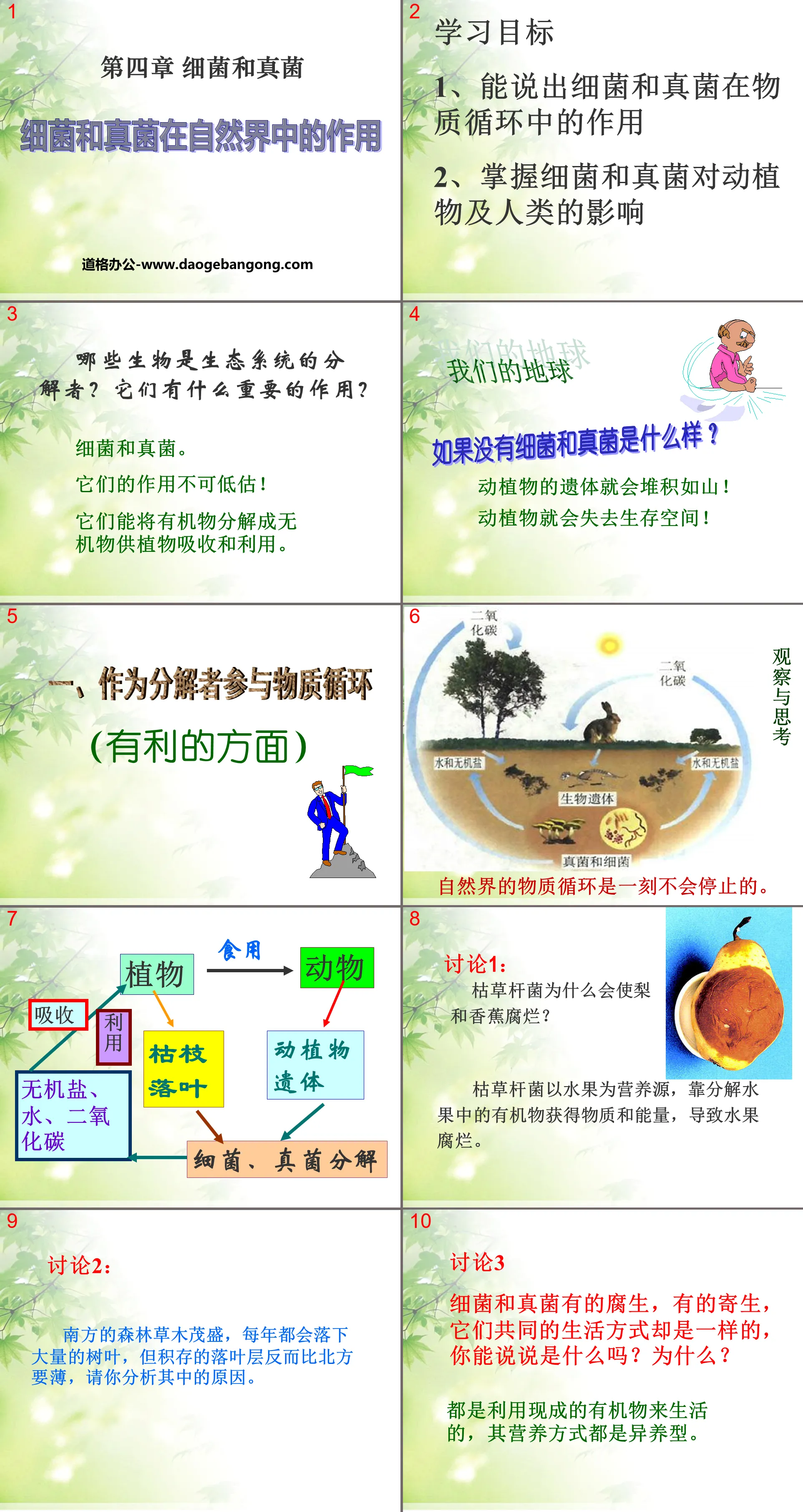 《細菌和真菌在自然界中的作用》細菌和真菌PPT課件7