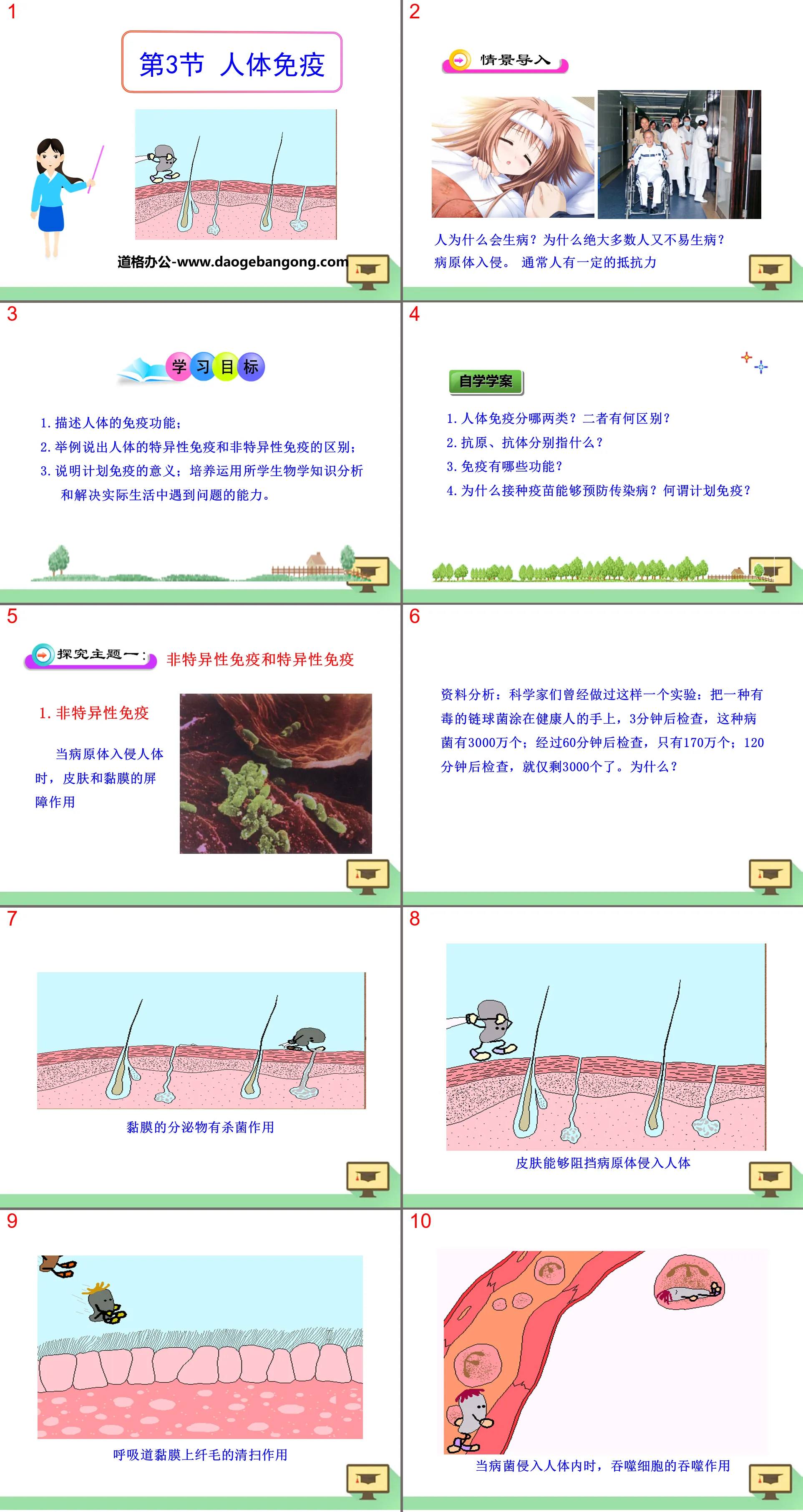 "Human Immunity" PPT