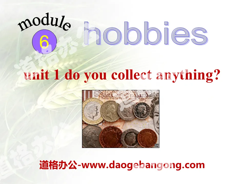 "Do you collect anything?" Hobbies PPT courseware 2