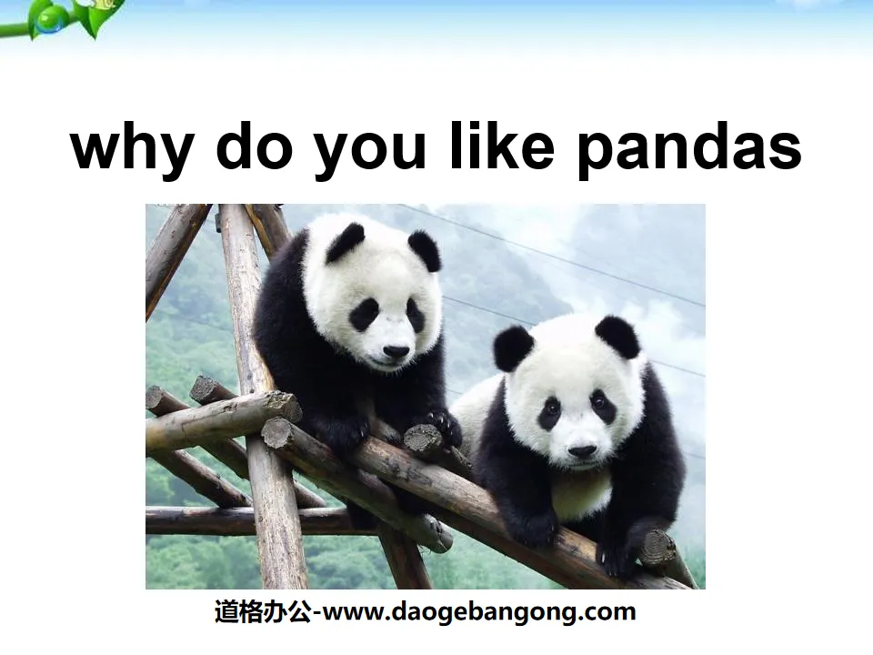 "Why do you like pandas?" PPT courseware 2