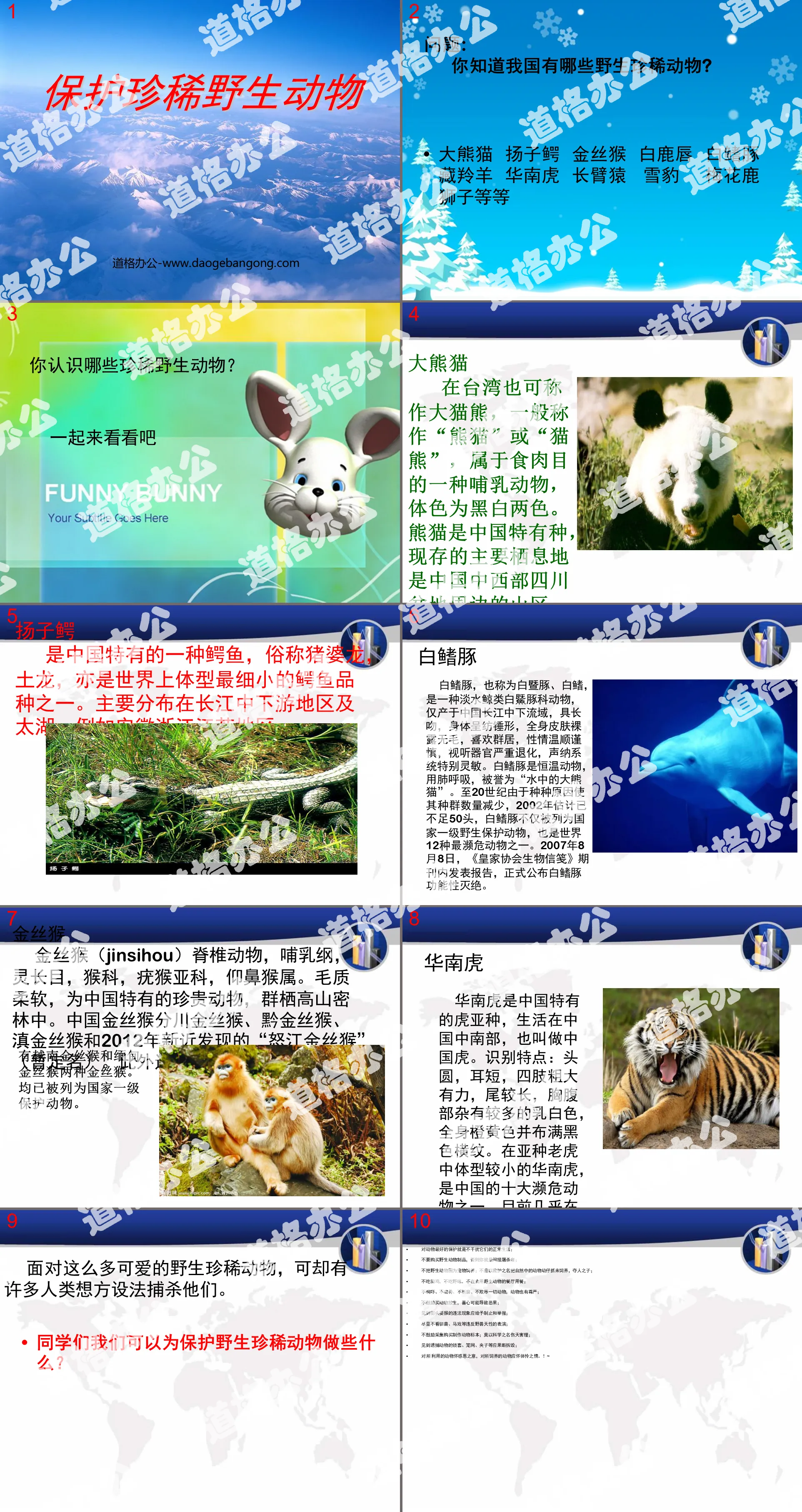 "Protecting Rare Wild Animals" PPT Courseware