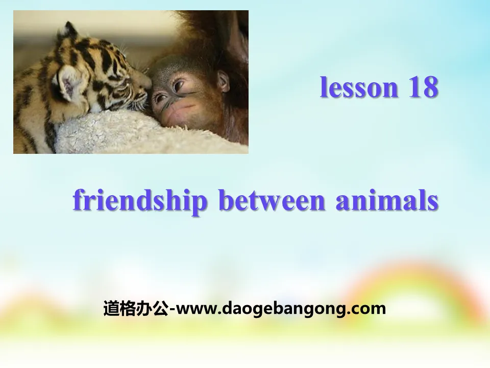 《Friendship Between Animals》Animals Are Our Friends PPT

