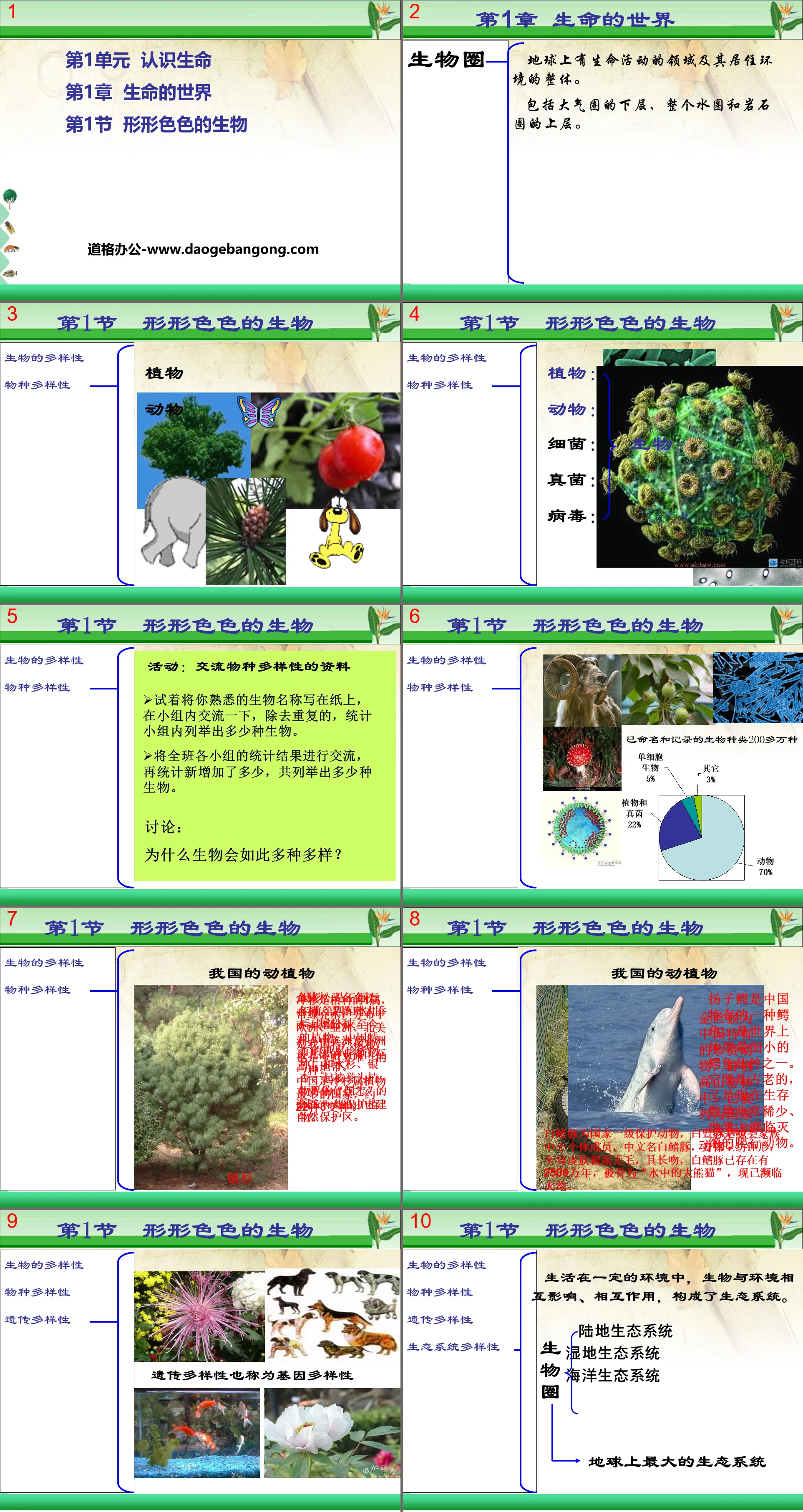 《形形色色的生物》PPT
