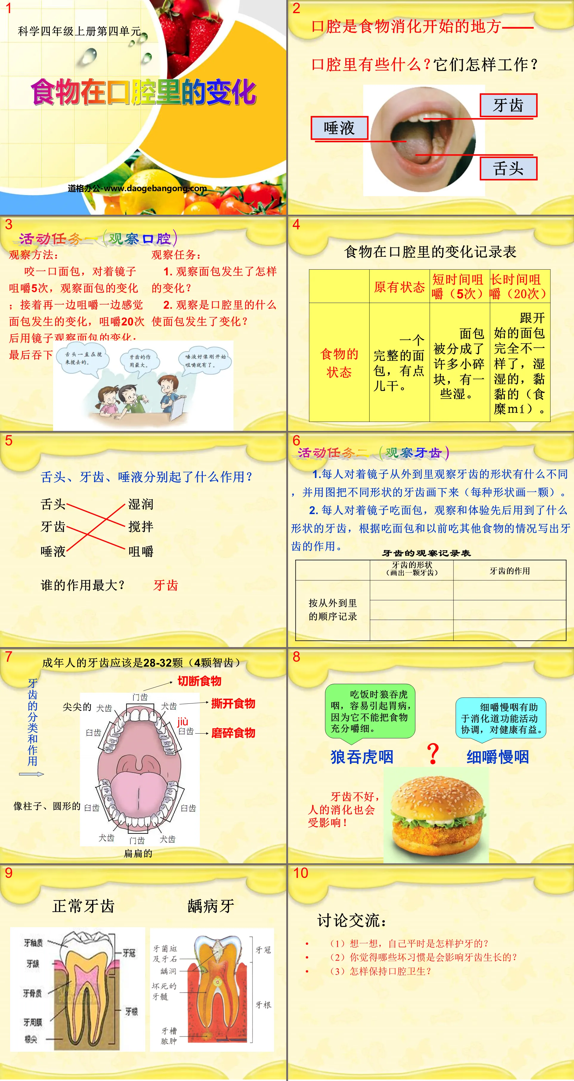 《食物在口腔里的变化》我们的身体PPT课件
