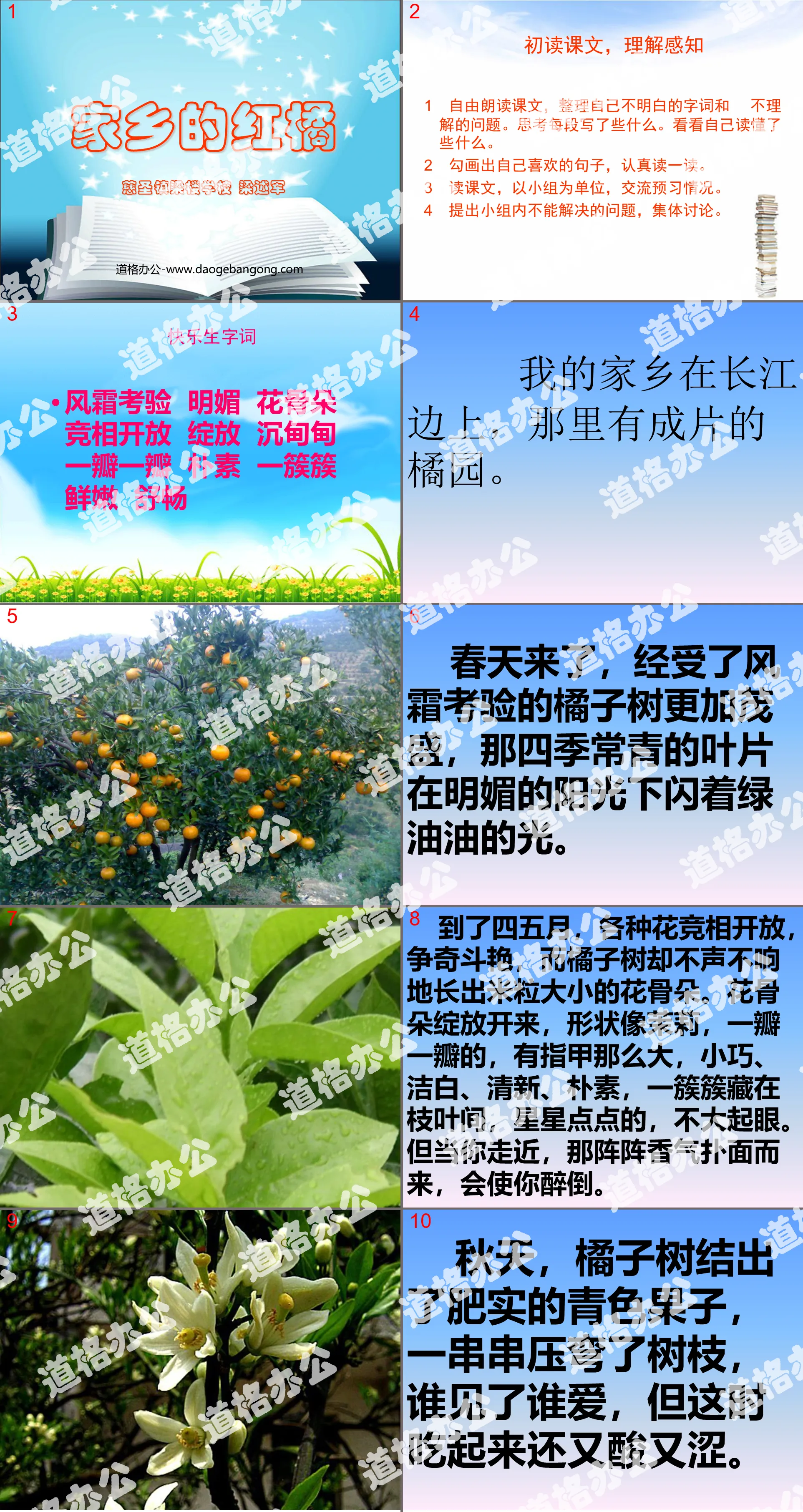 《家乡的红橘》PPT课件