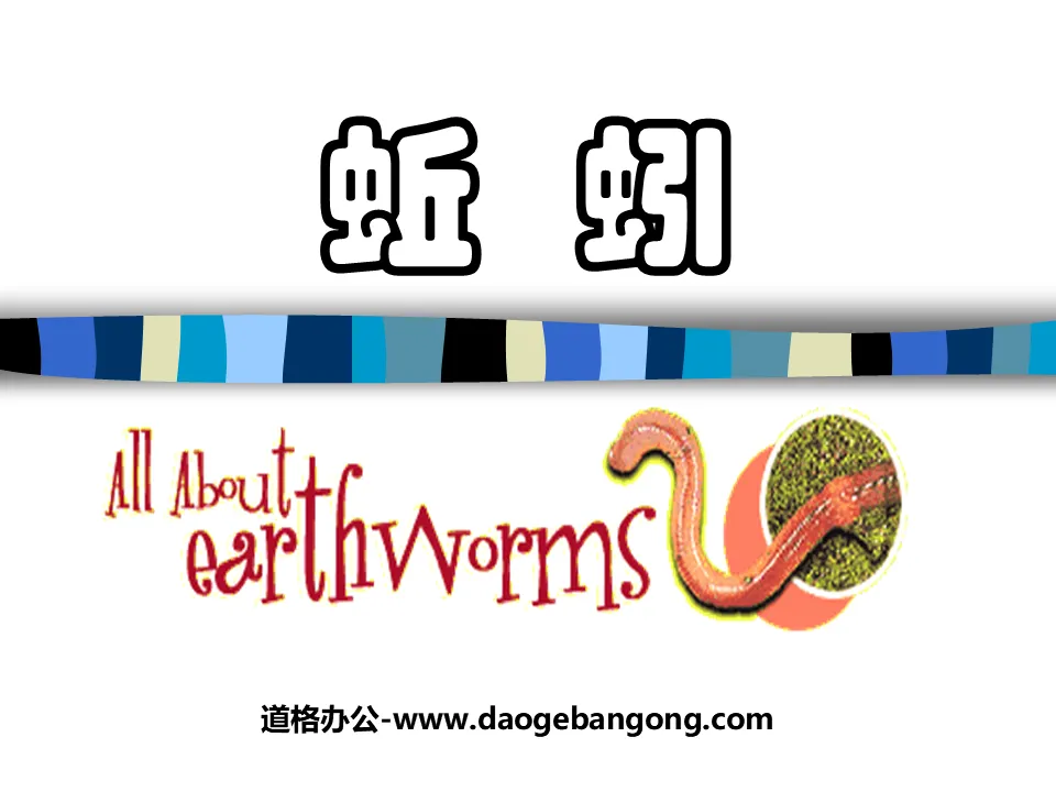 "Earthworm" animal PPT courseware