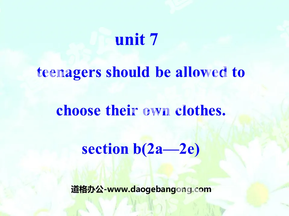 《Teenagers should be allowed to choose their own clothes》PPT课件17
