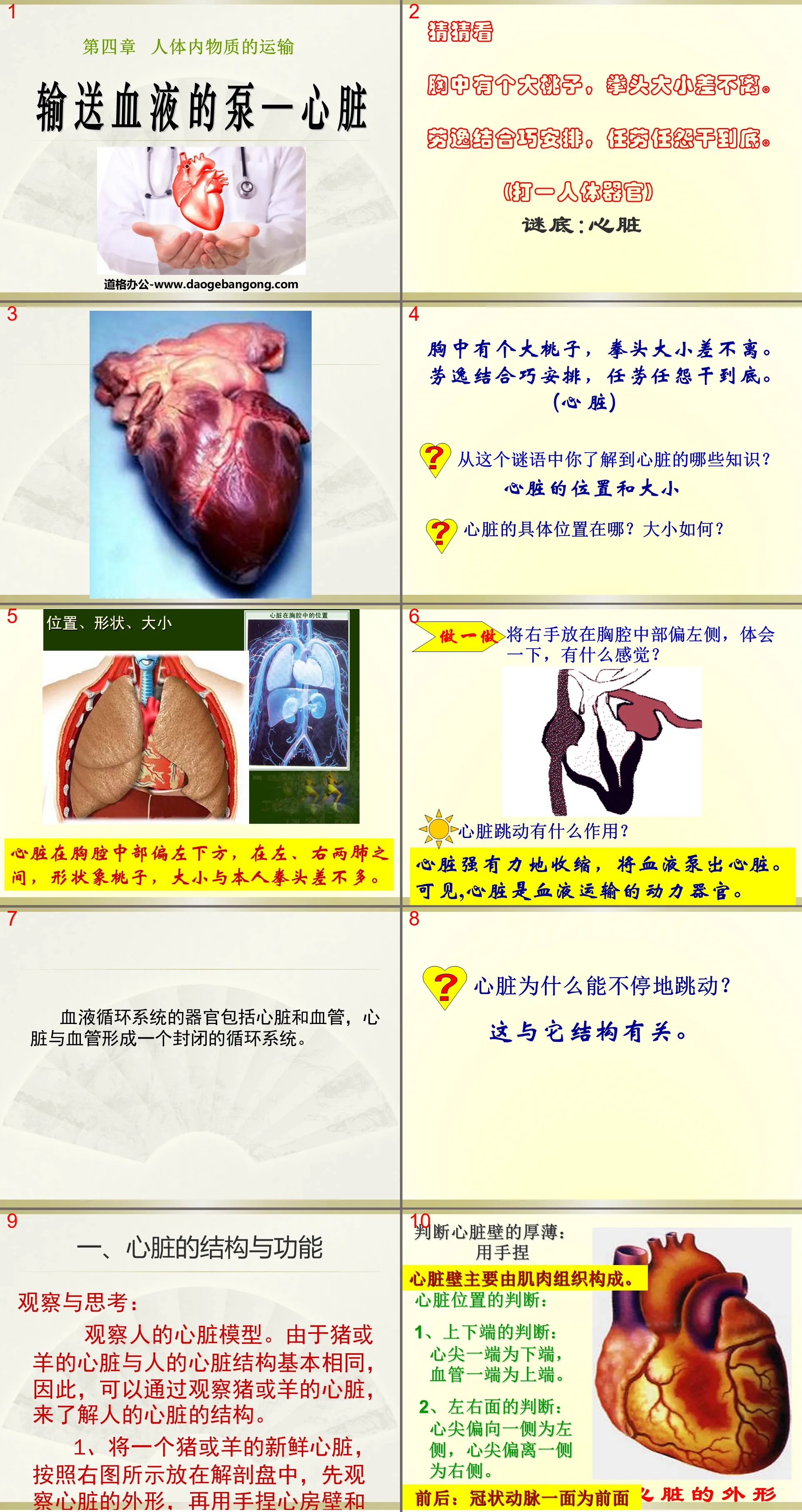 "The Pump that Transports Blood - Heart" Transport of Materials in the Human Body PPT Courseware 5