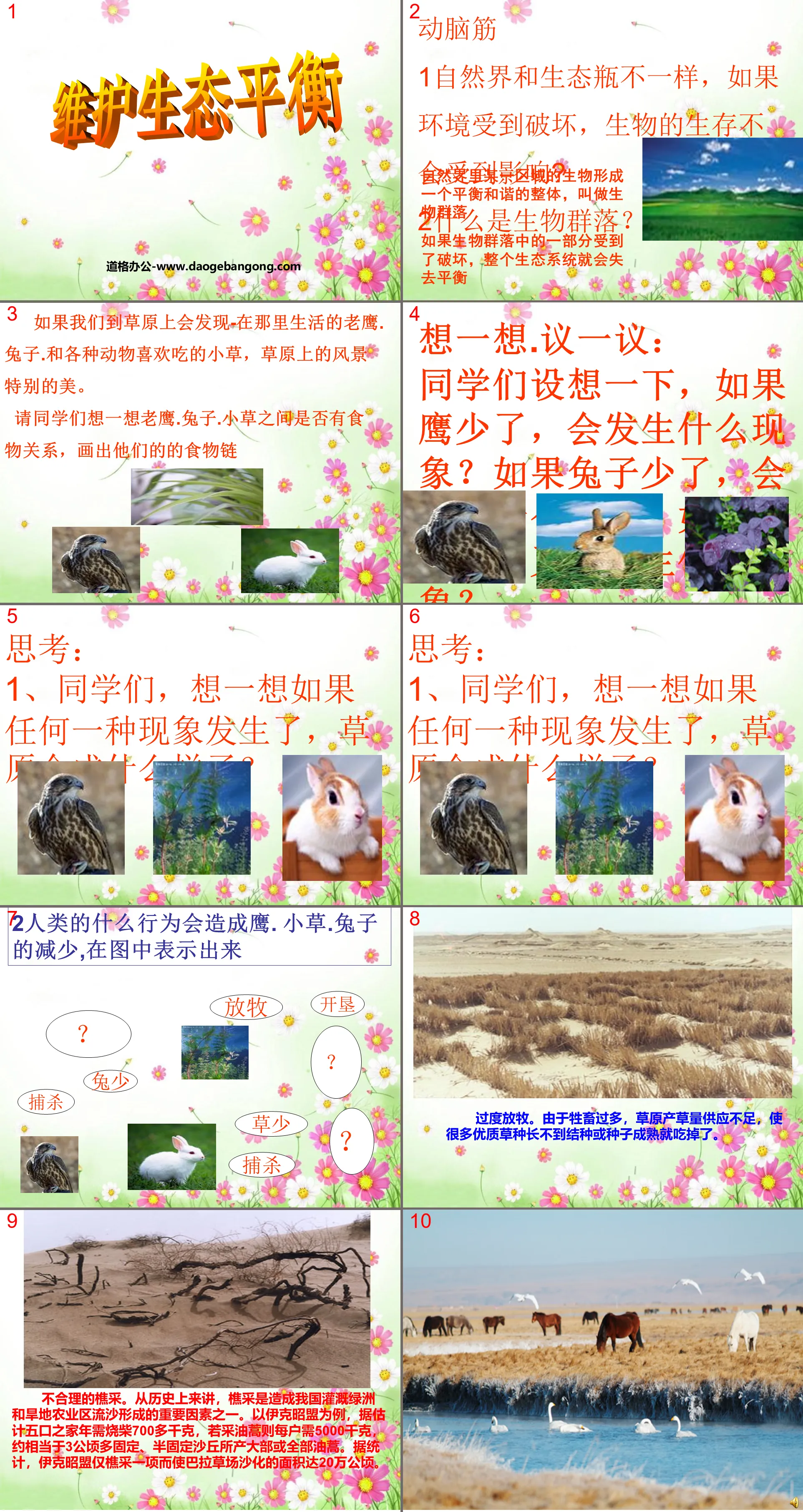 《维护生态平衡》生物与环境PPT课件2
