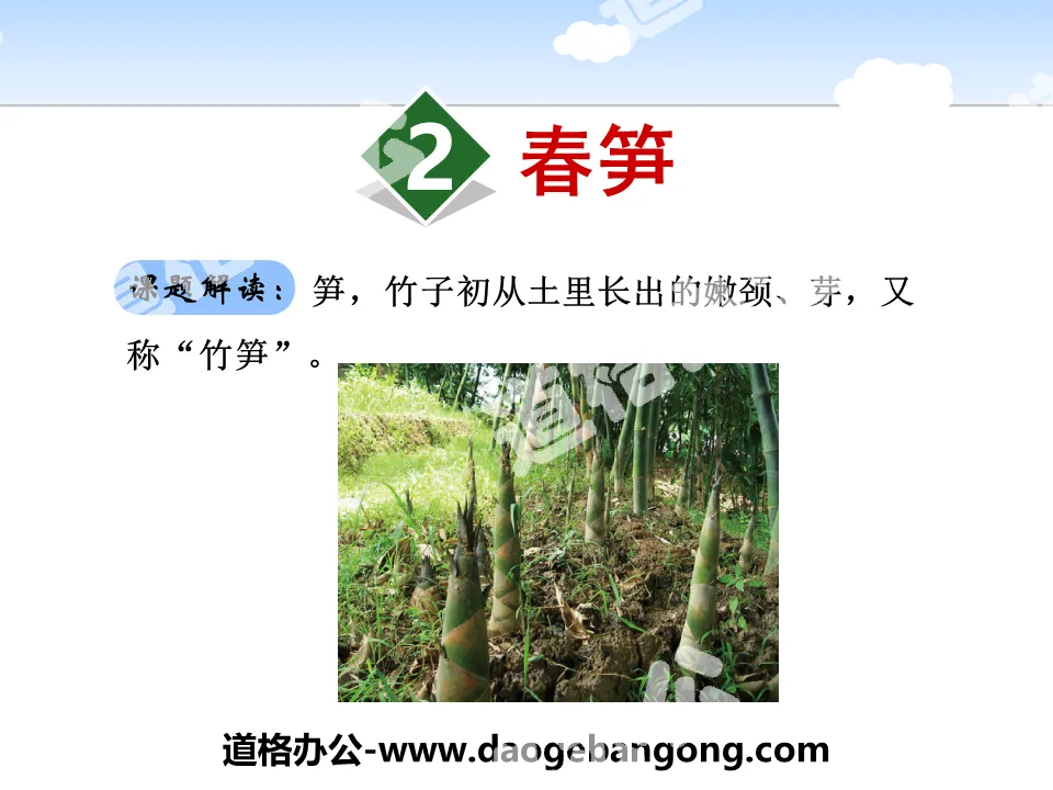 "Spring Bamboo Shoots" PPT download