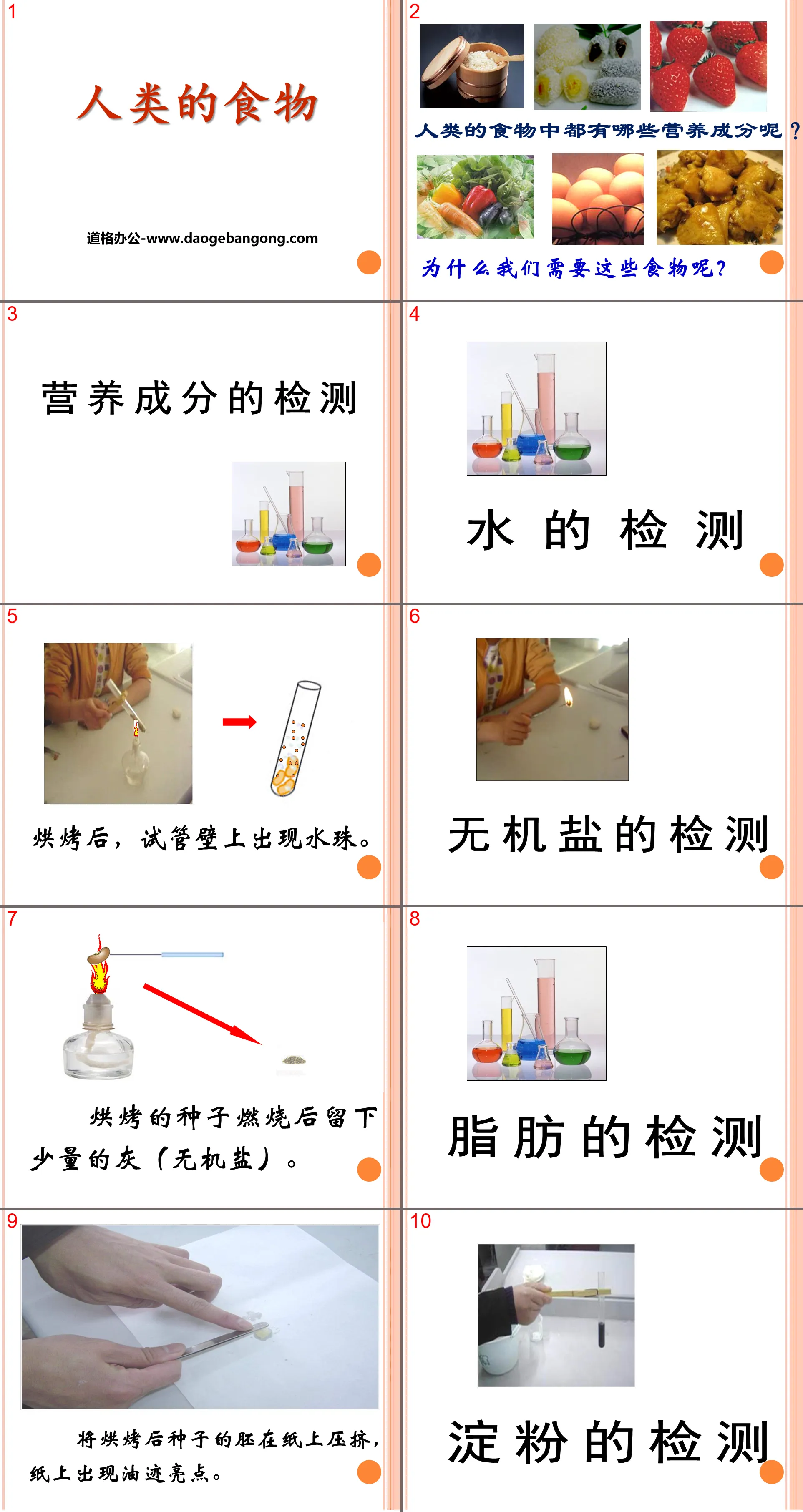 《人类的食物》PPT课件
