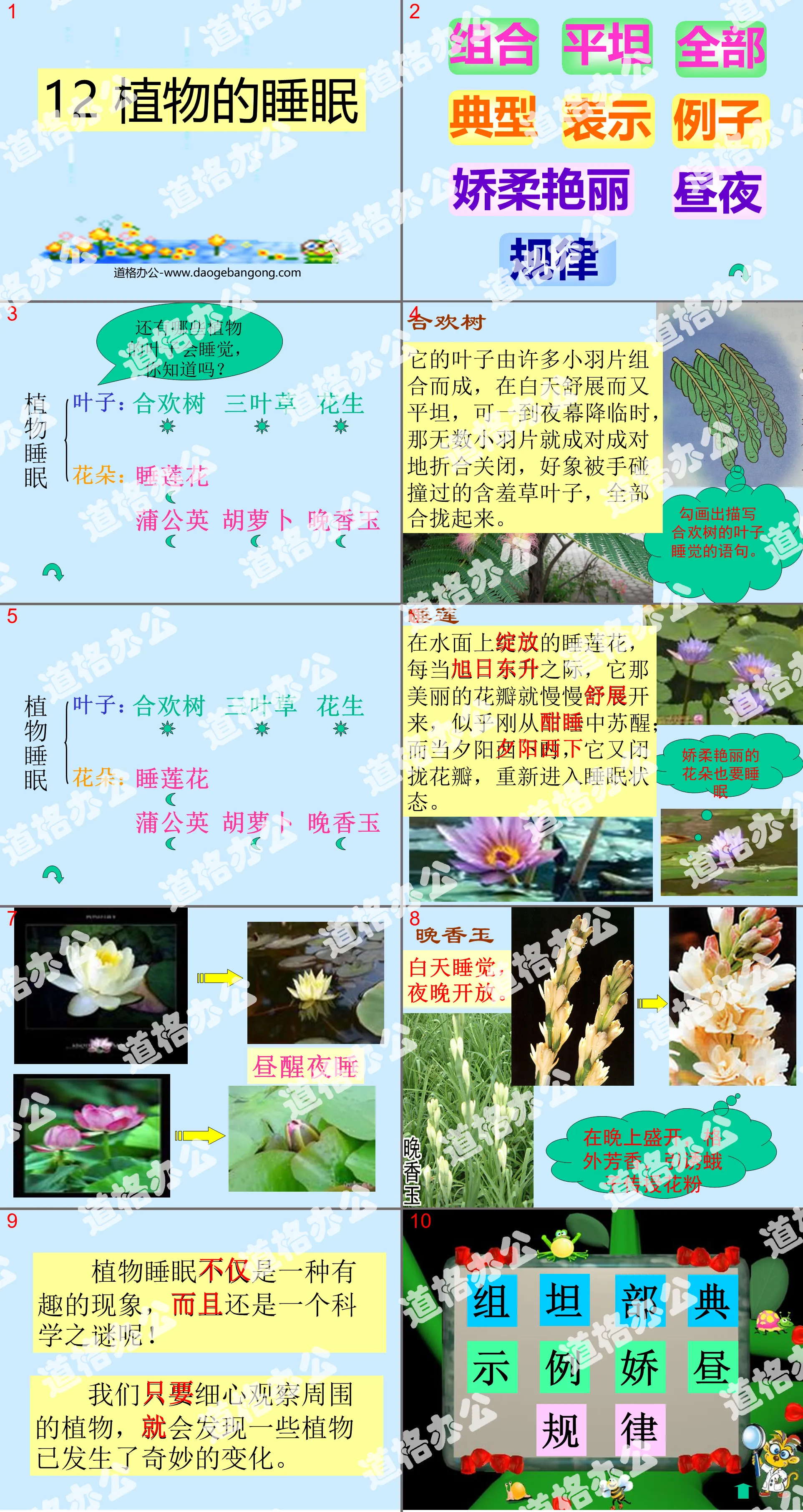 "Sleep of Plants" PPT courseware