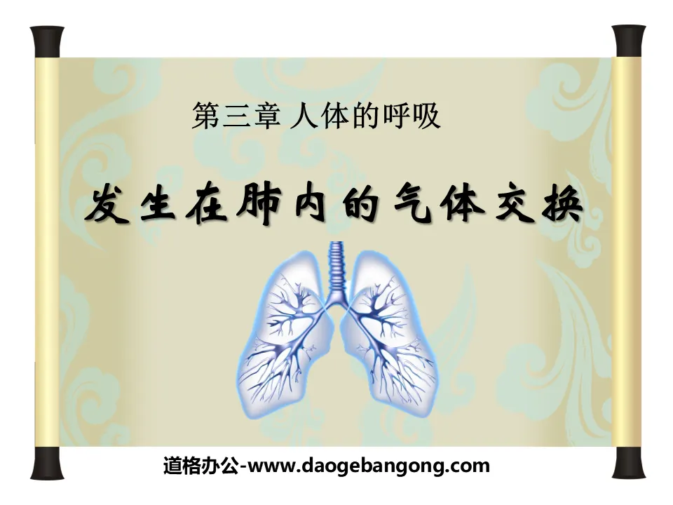 《发生在肺内的气体交换》人体的呼吸PPT课件3
