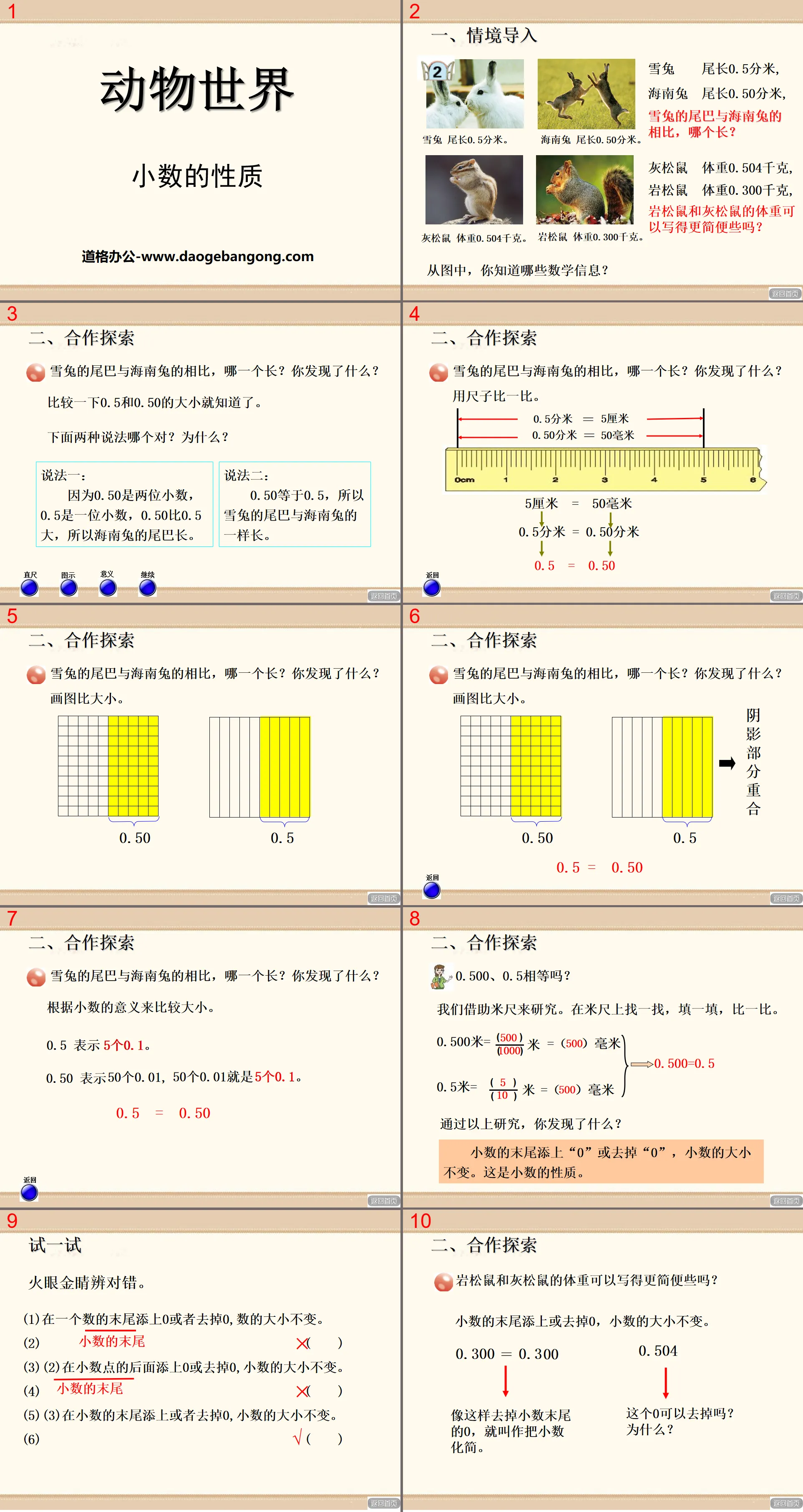 《动物世界》PPT课件5
