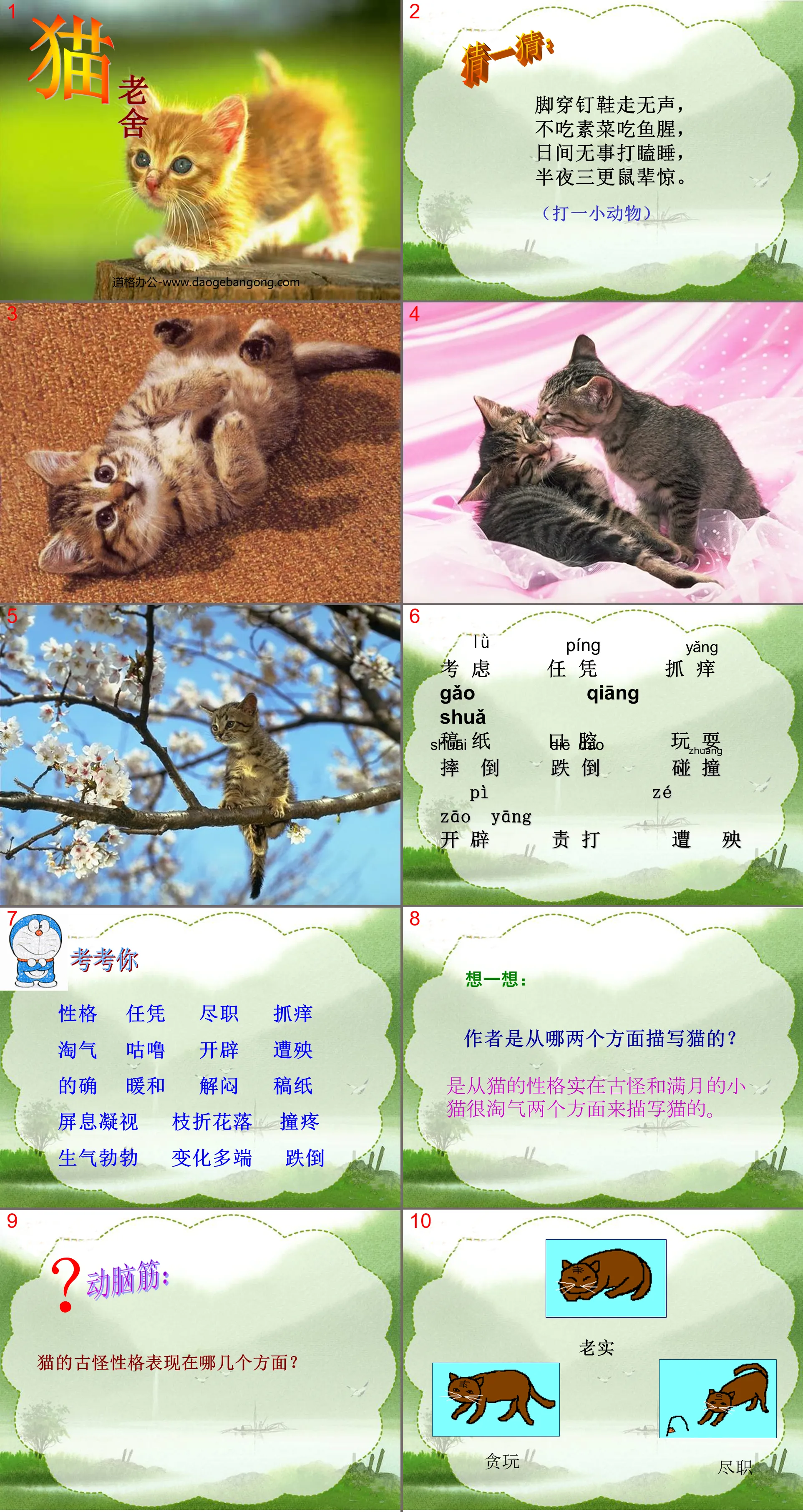 《猫》PPT课件下载5