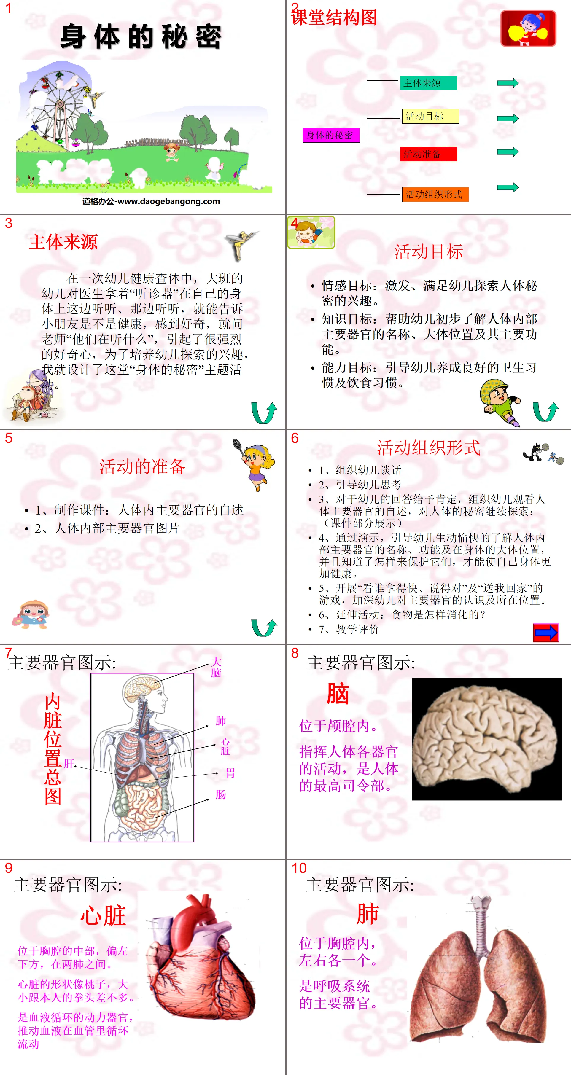 《身体的秘密》PPT课件
