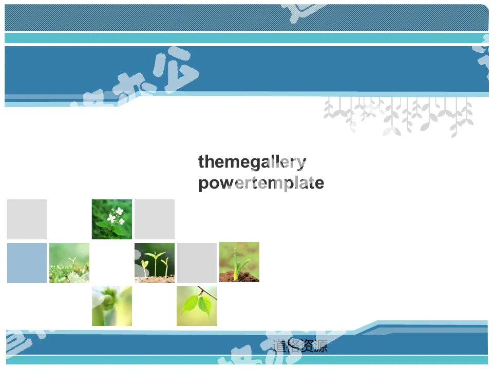 48 plant PPT templates packaged and downloaded