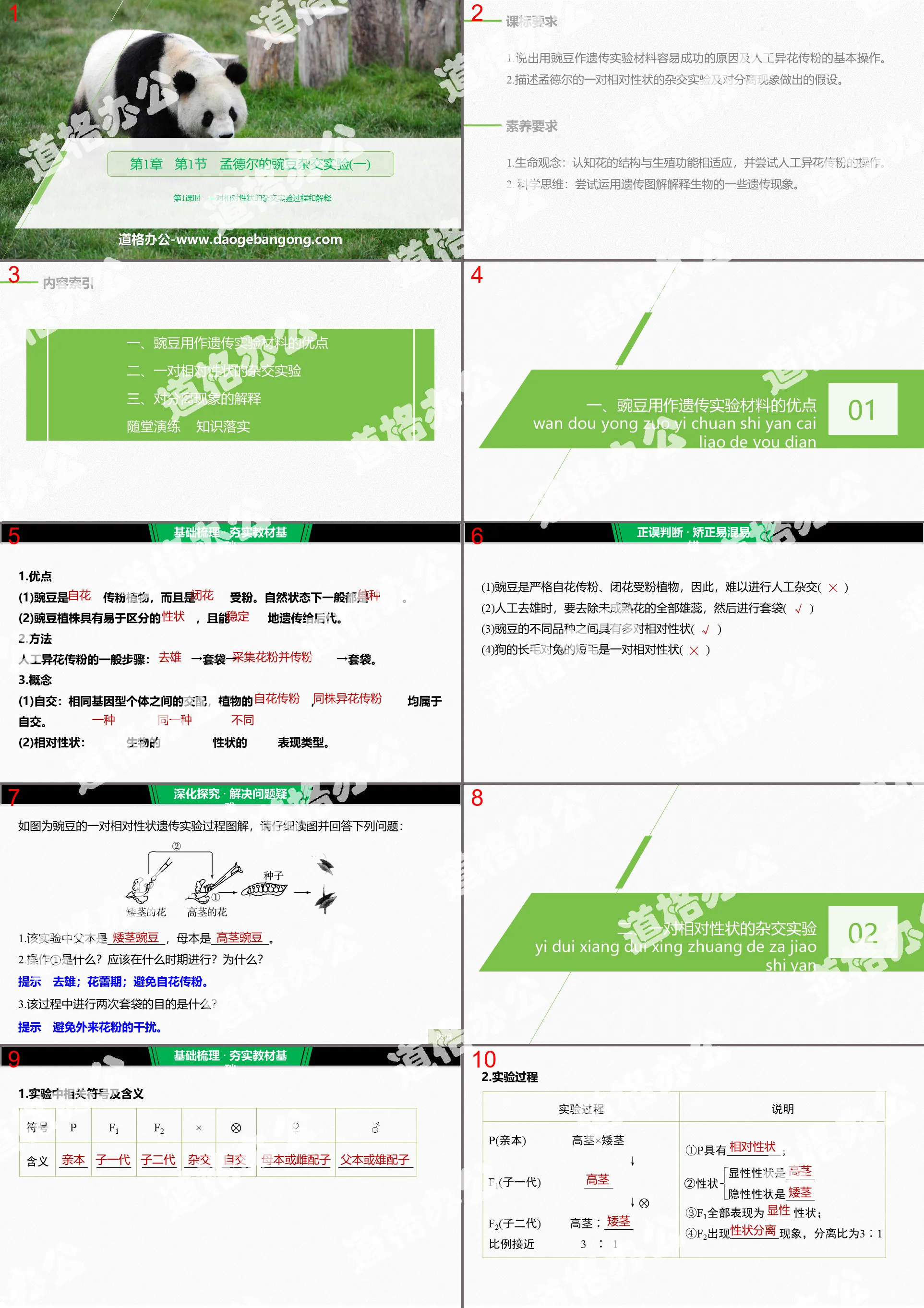 《孟德爾的豌豆雜交實驗(一)》遺傳因子的發現PPT(第1課時一對相對性狀的雜交實驗過程與解釋)